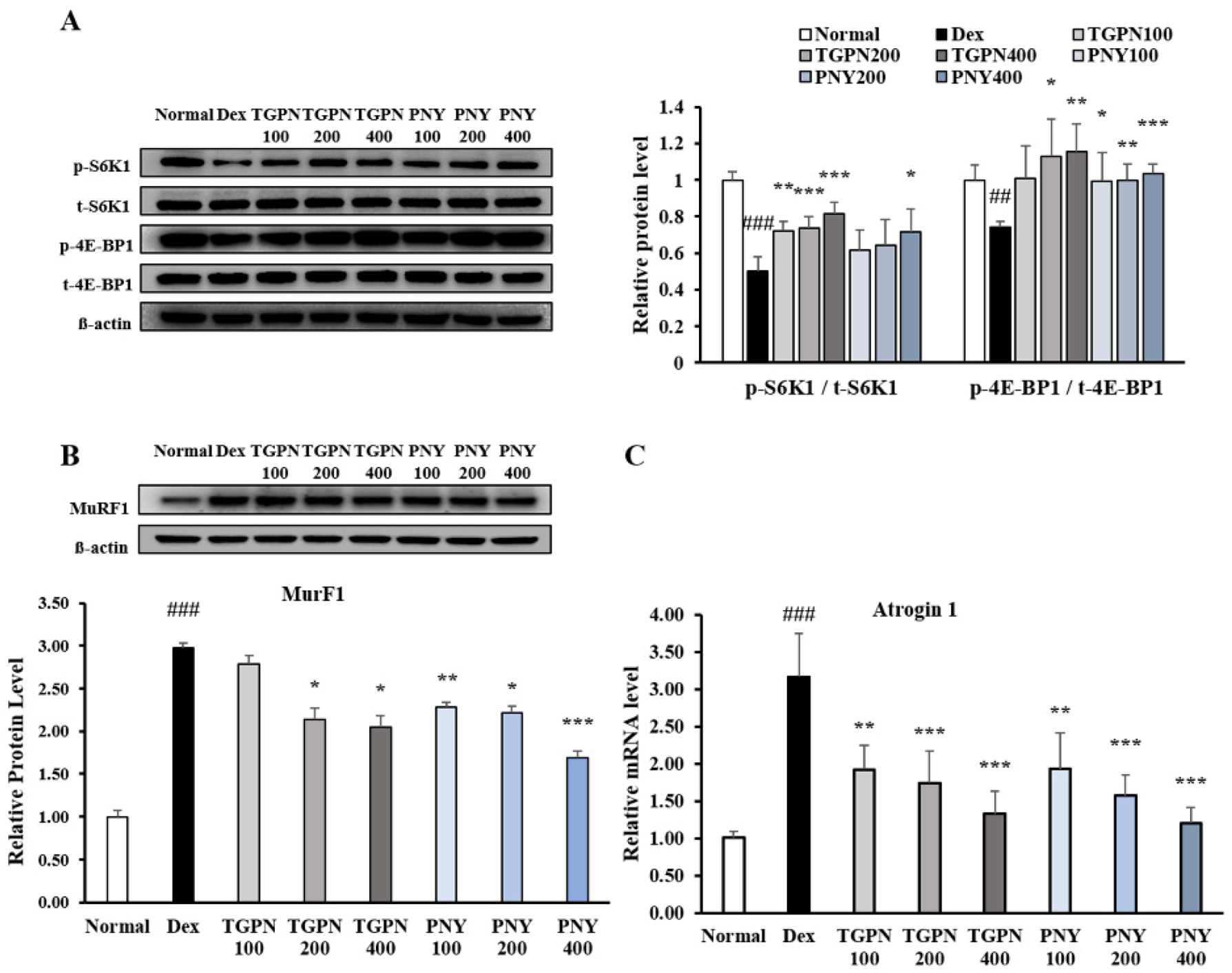 Nutrients 13 04385 g003 Nutrients 13 04385 g003
