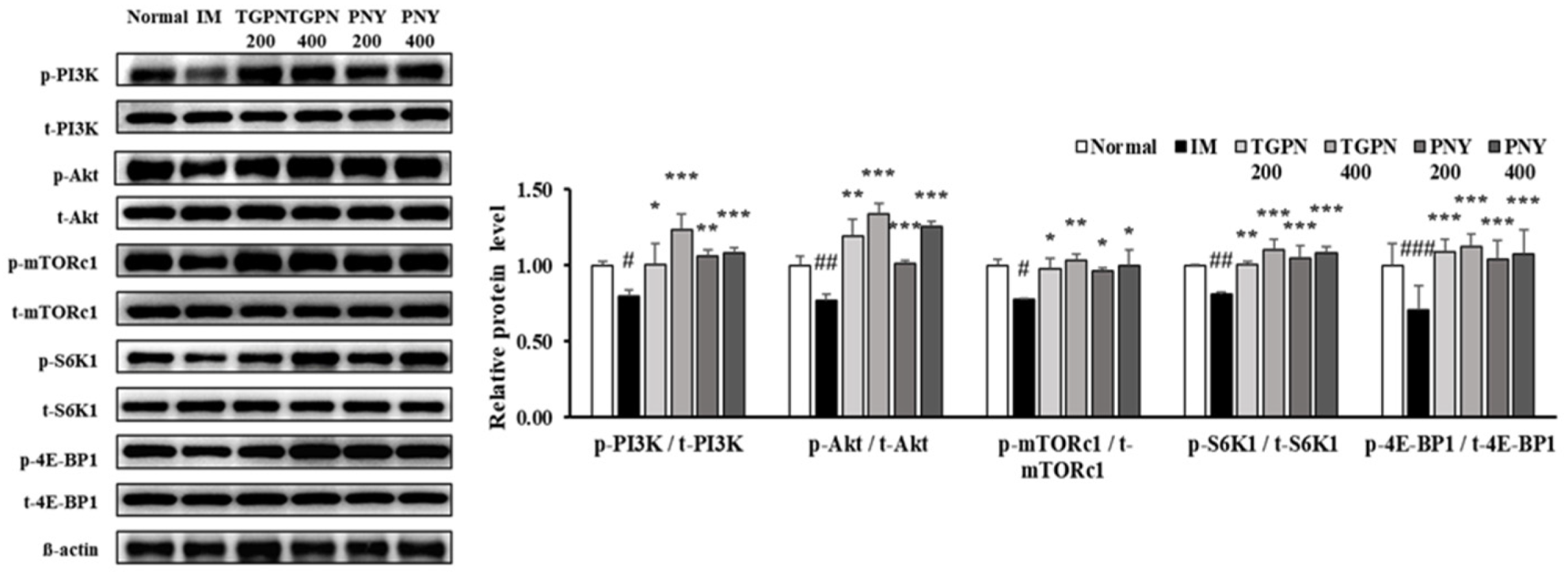 Nutrients 13 04385 g006 Nutrients 13 04385 g006
