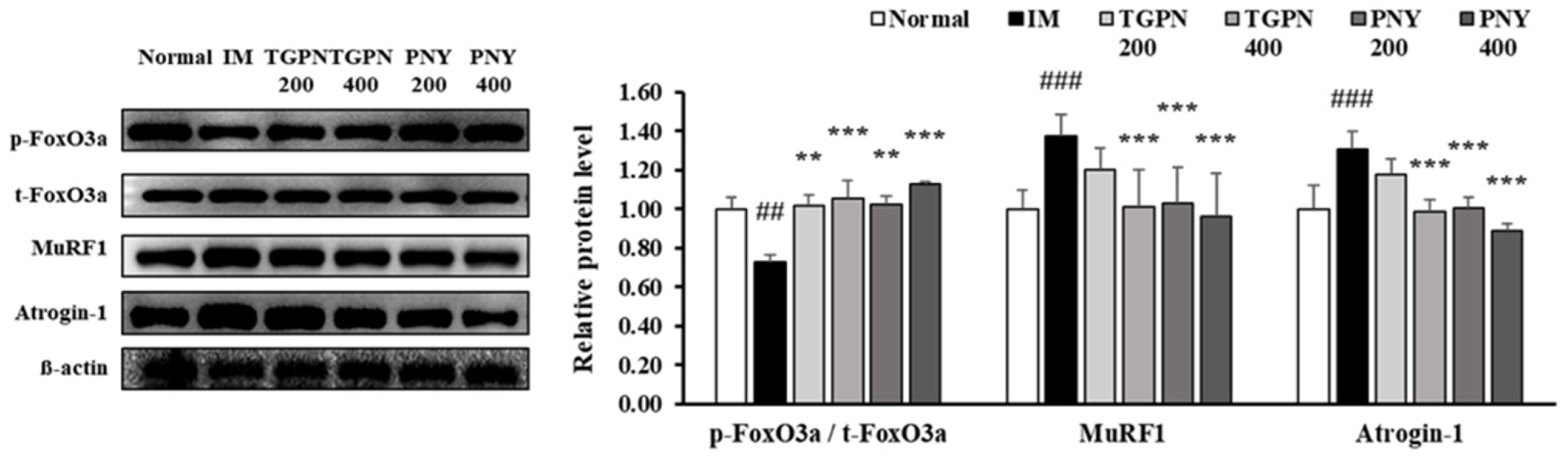Nutrients 13 04385 g007 Nutrients 13 04385 g007