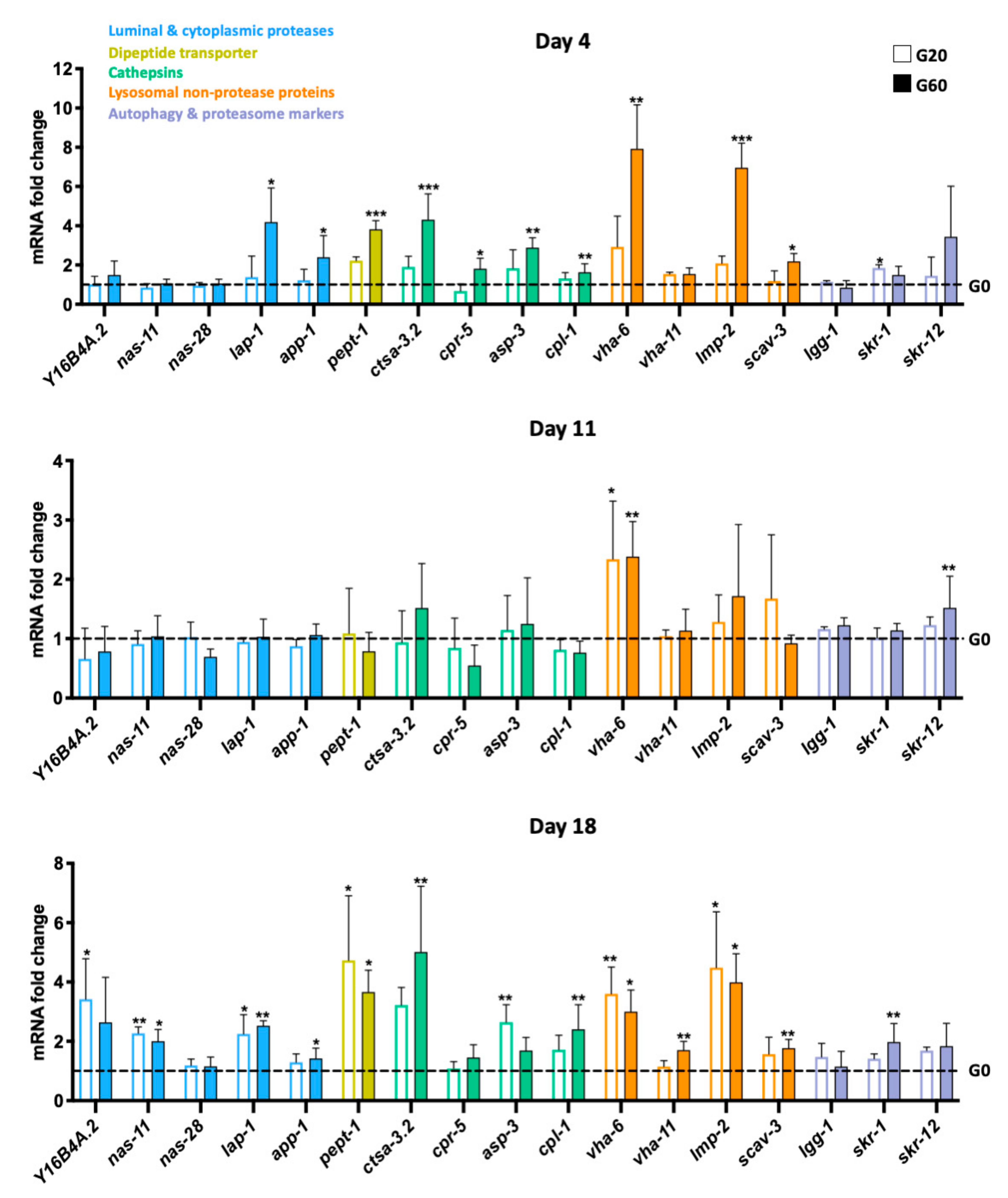 Nutrients 13 04398 g003