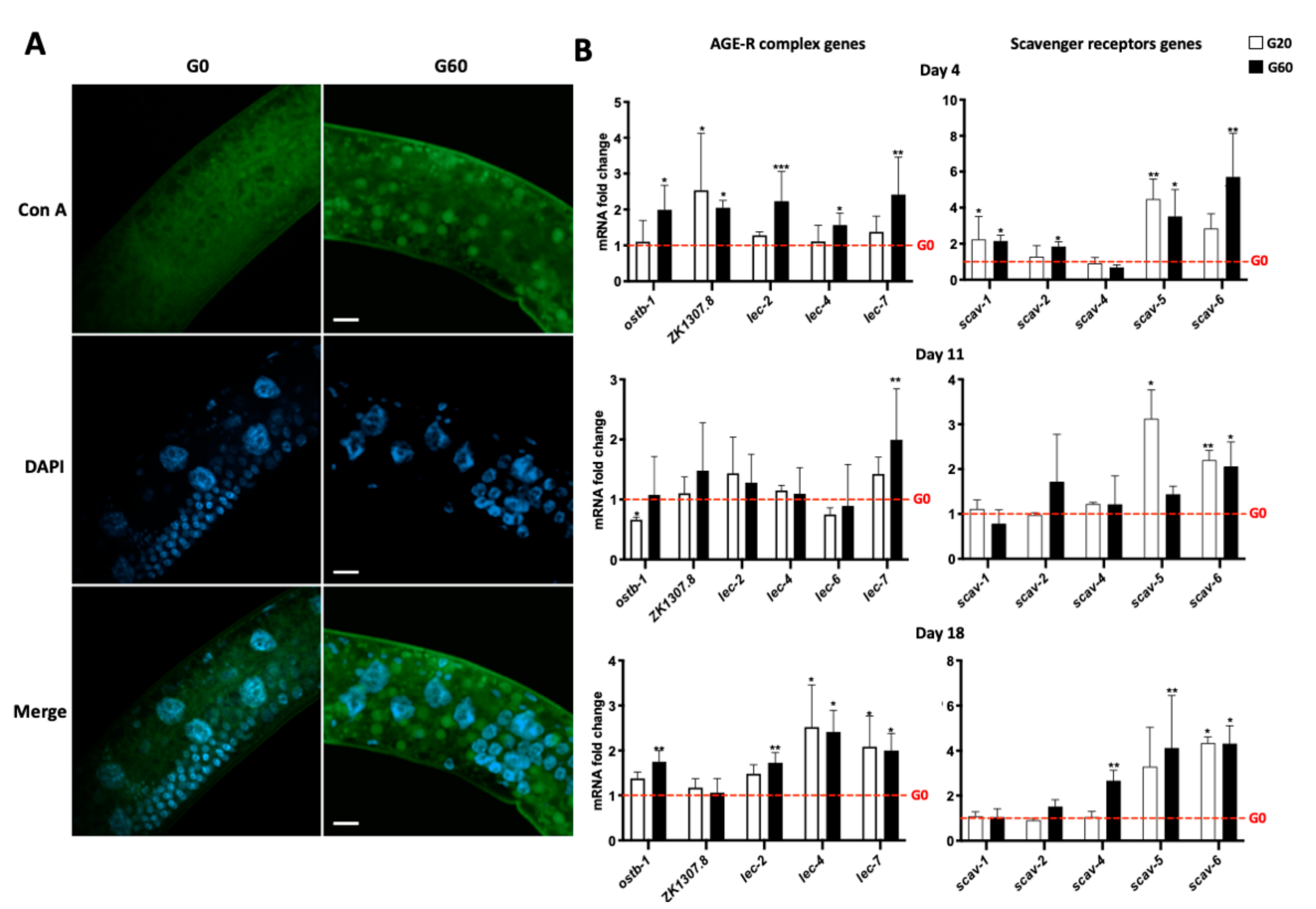 Nutrients 13 04398 g005