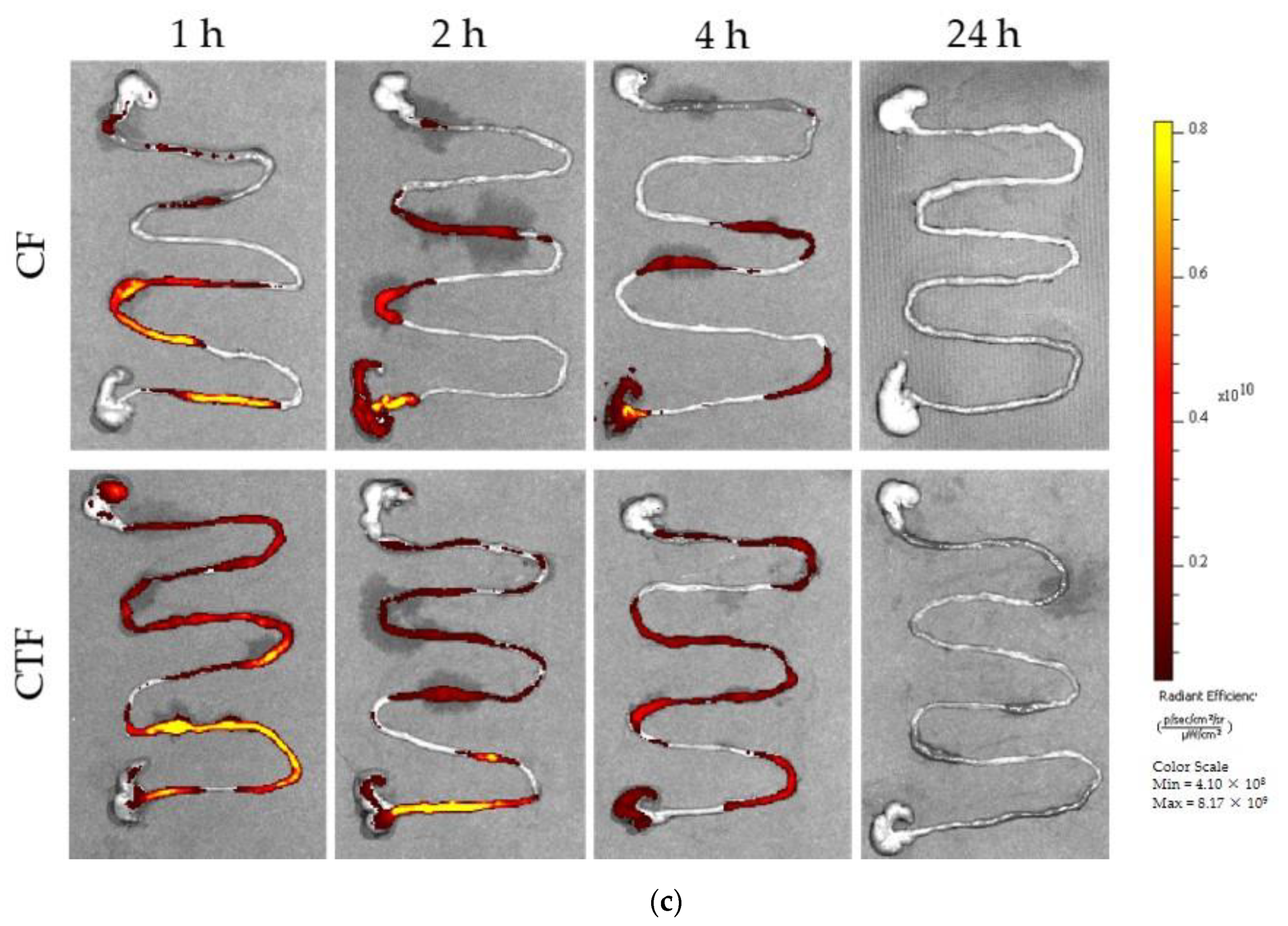 Nutrients 13 04405 g003b 550