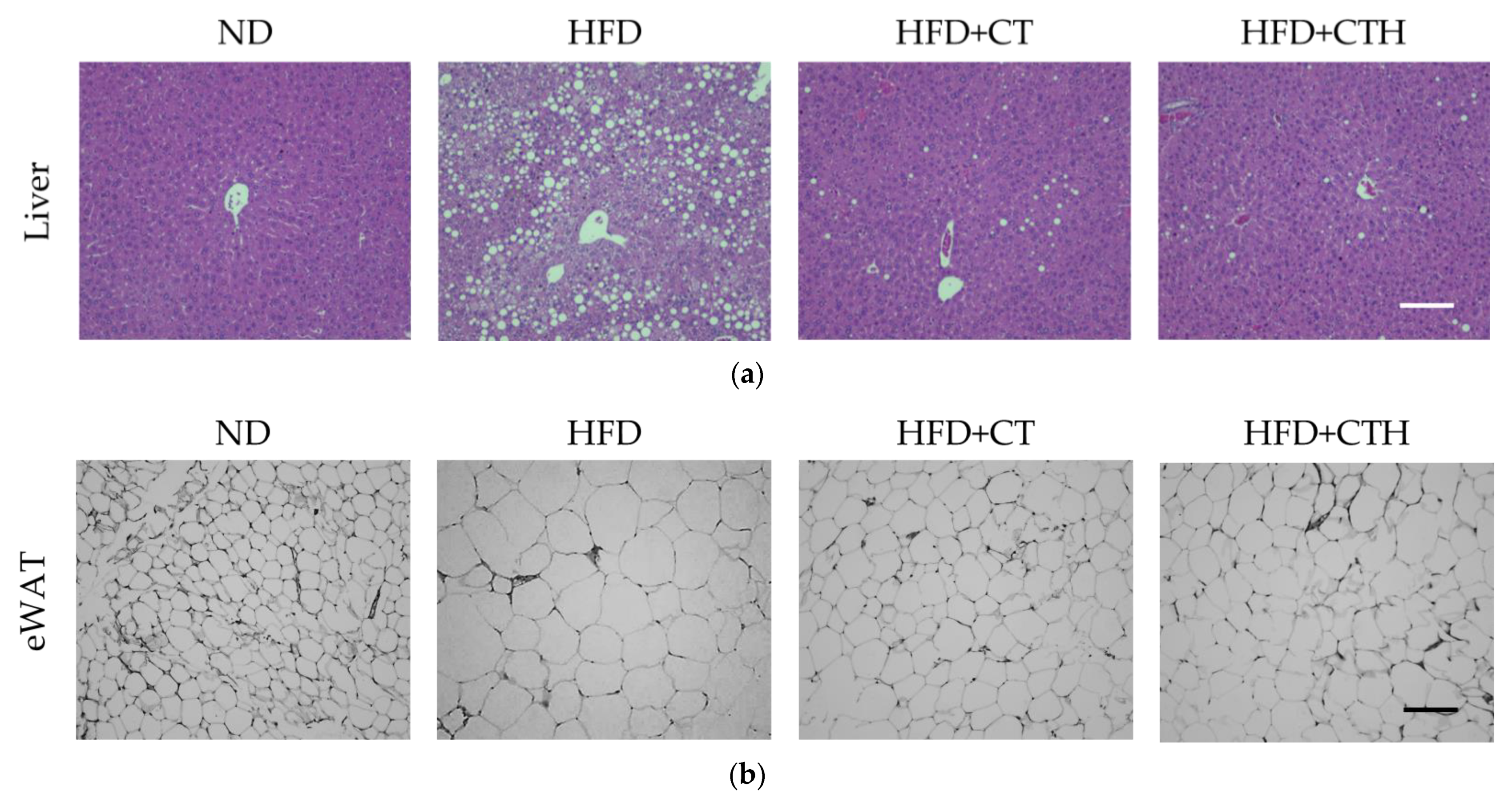 Nutrients 13 04405 g005 550