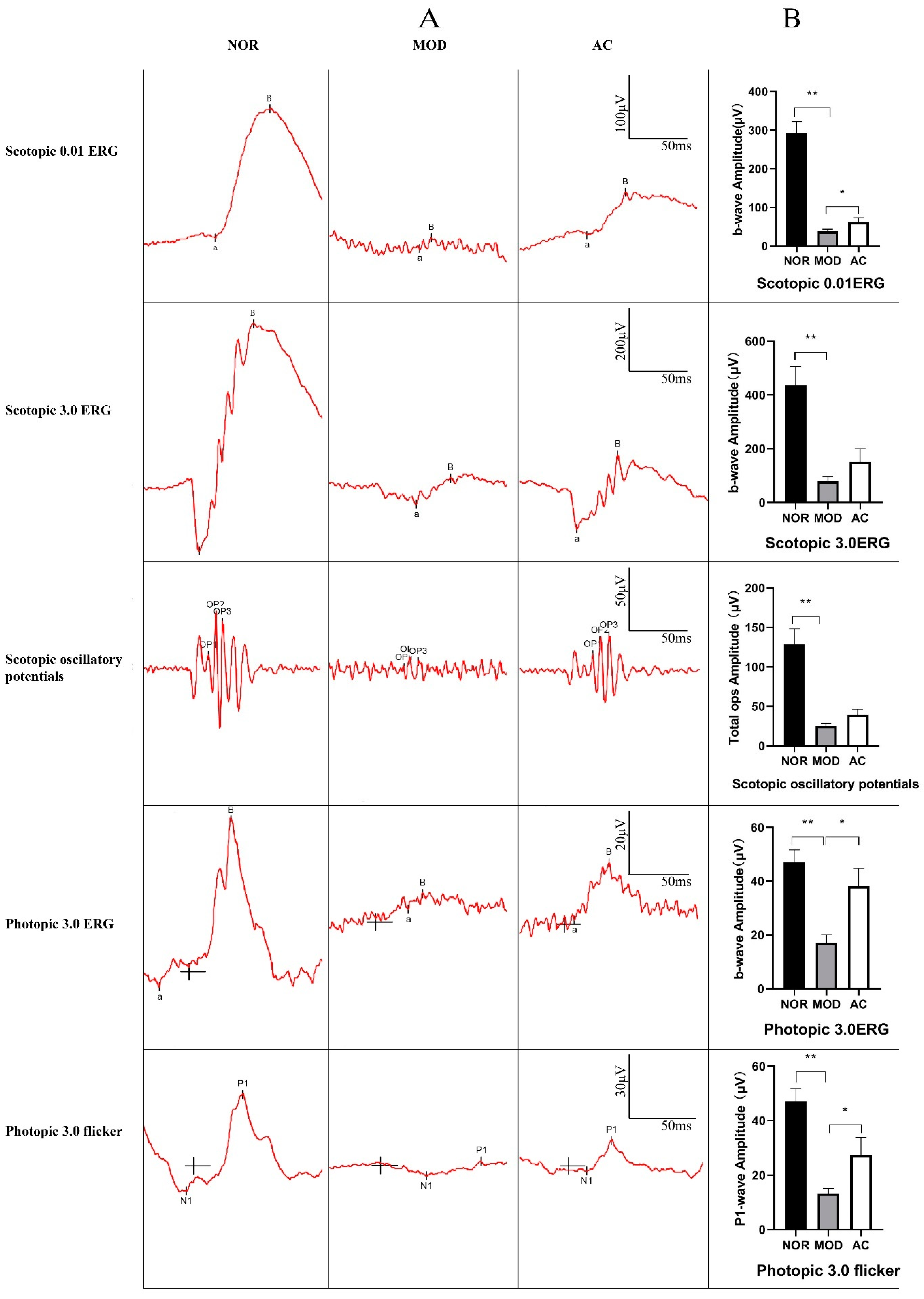 Nutrients 13 04411 g002 550