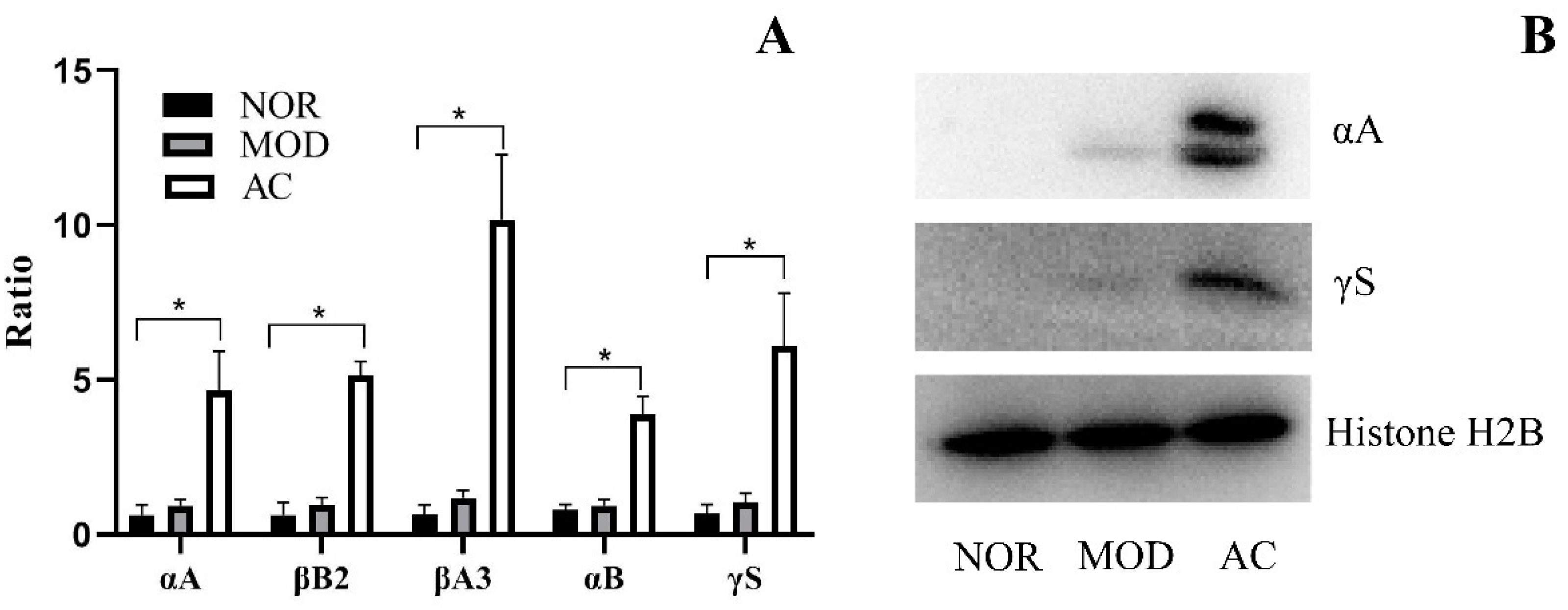Nutrients 13 04411 g005 550