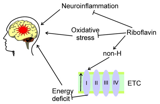 Nutrients to Improve Mitochondrial Function to Reduce Brain Energy Deficit  and Oxidative Stress in Migraine