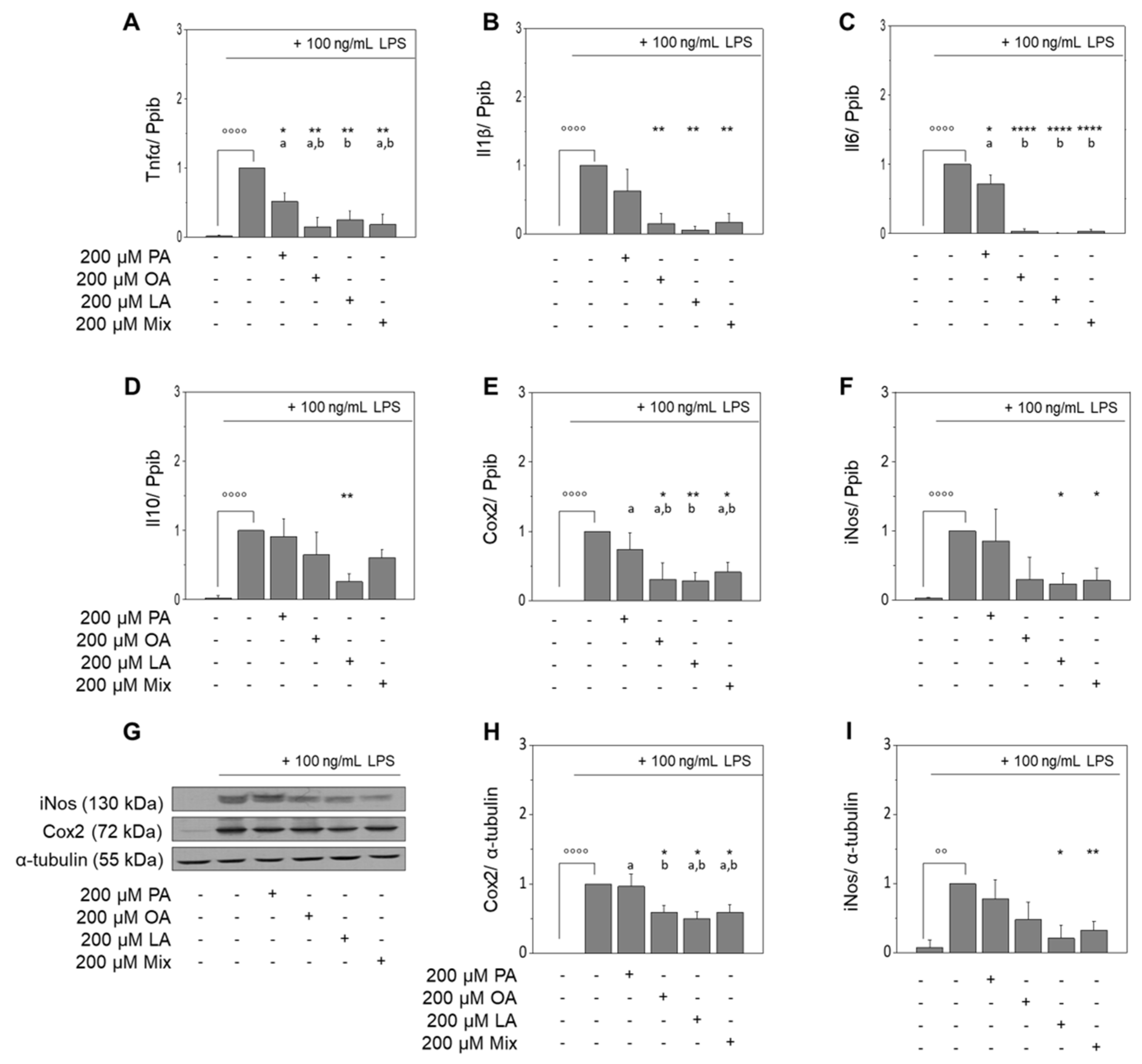 Nutrients 13 04437 g002