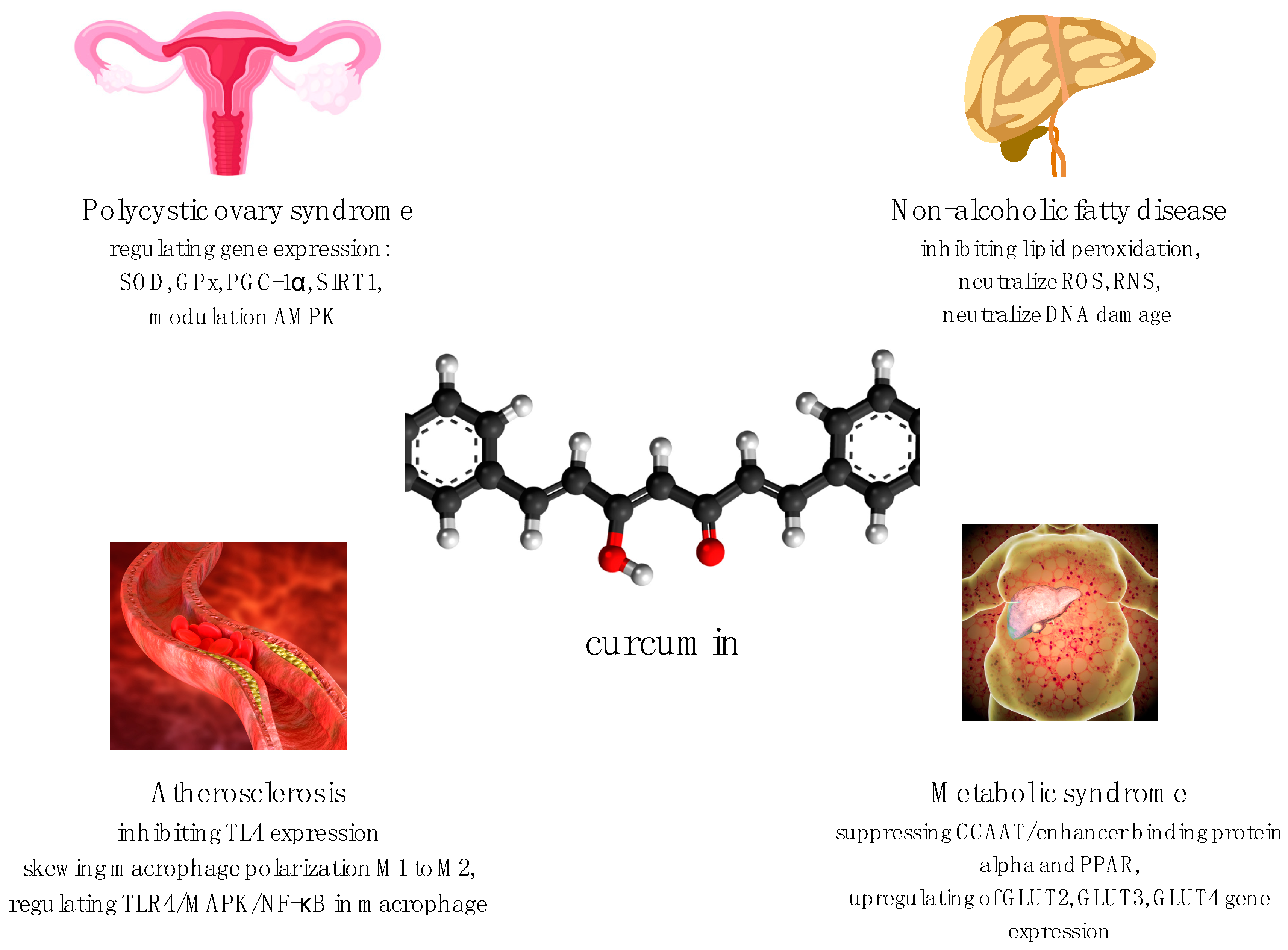Curcumin in Metabolic Health 