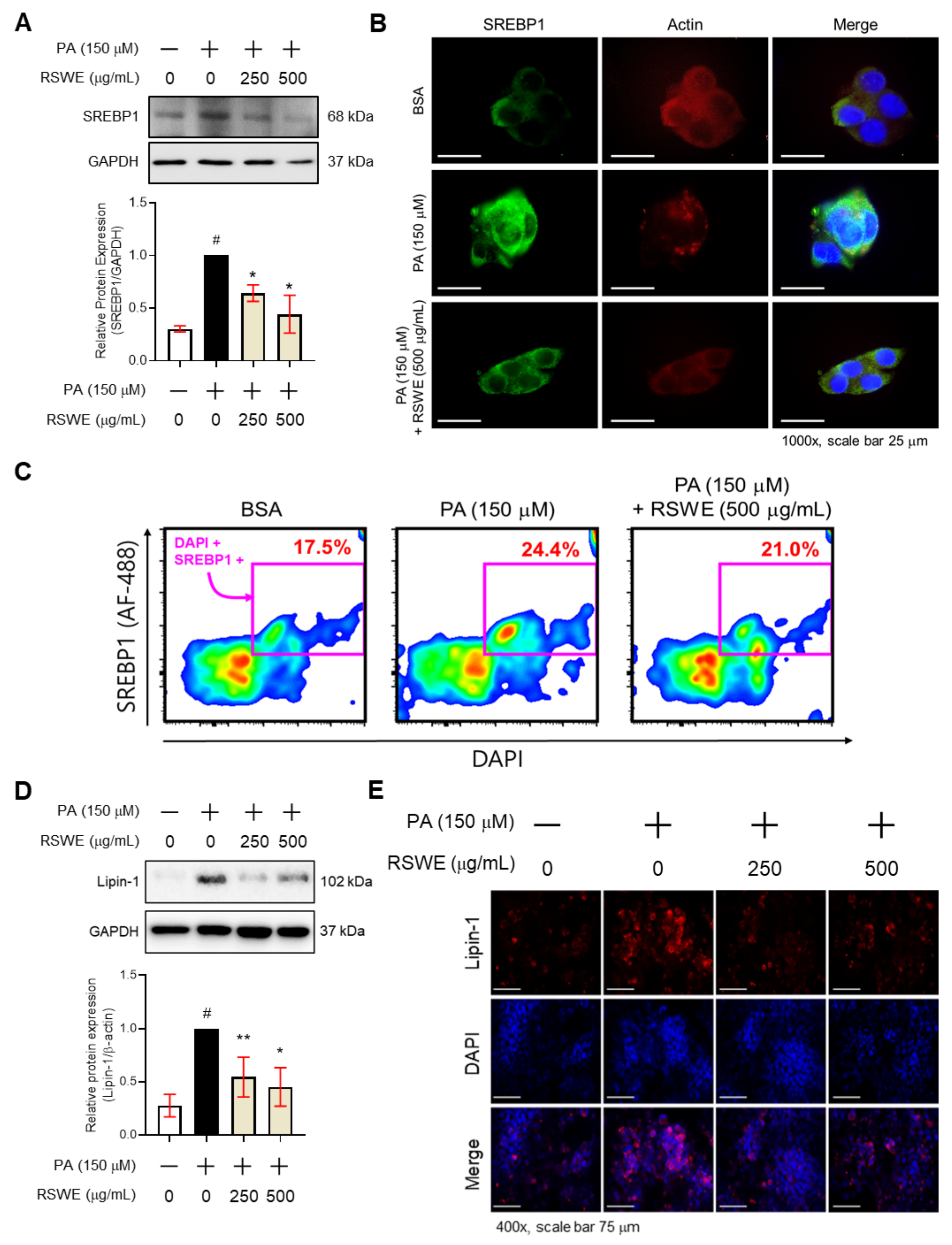 Nutrients 13 04448 g004