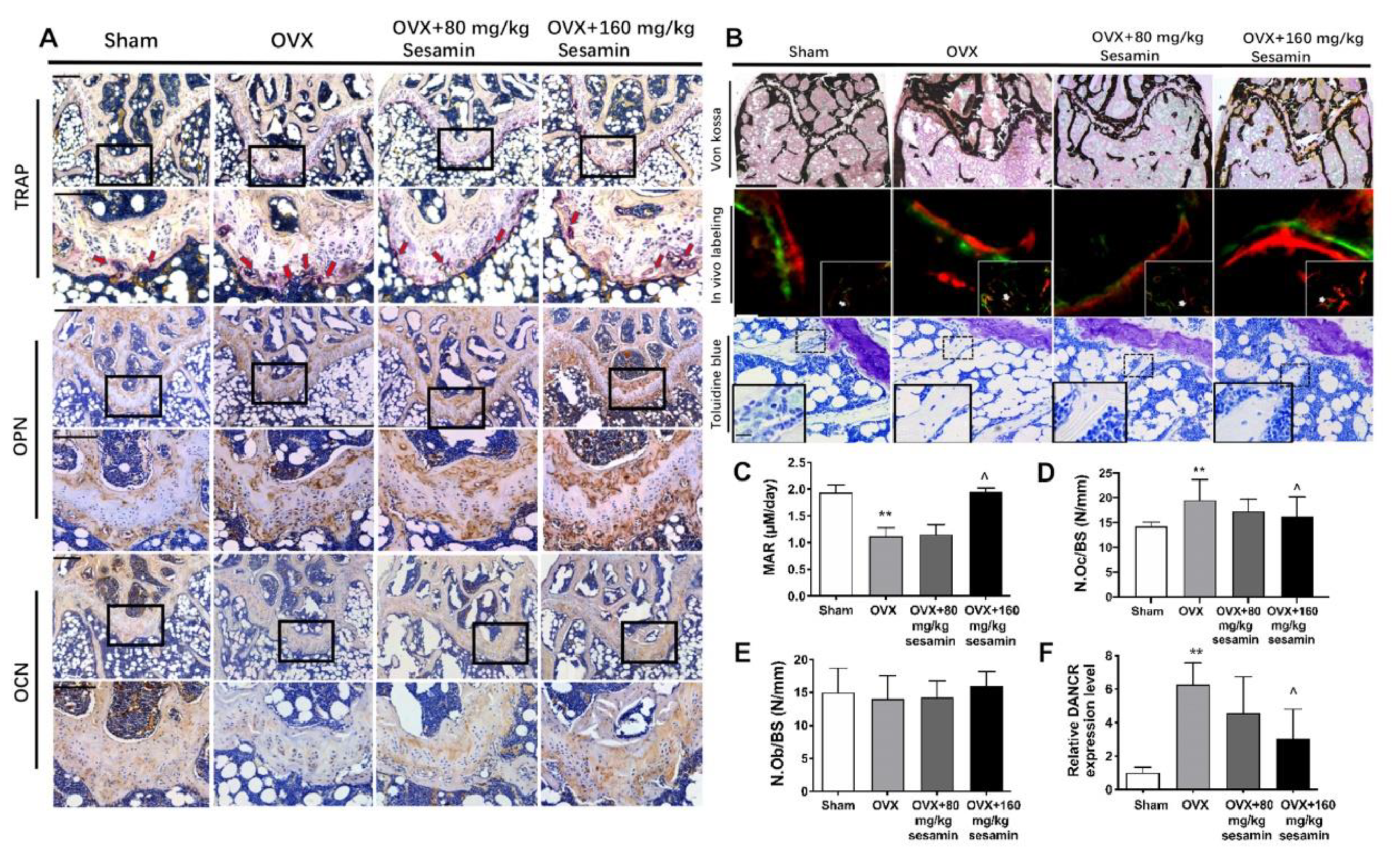 Nutrients 13 04455 g007