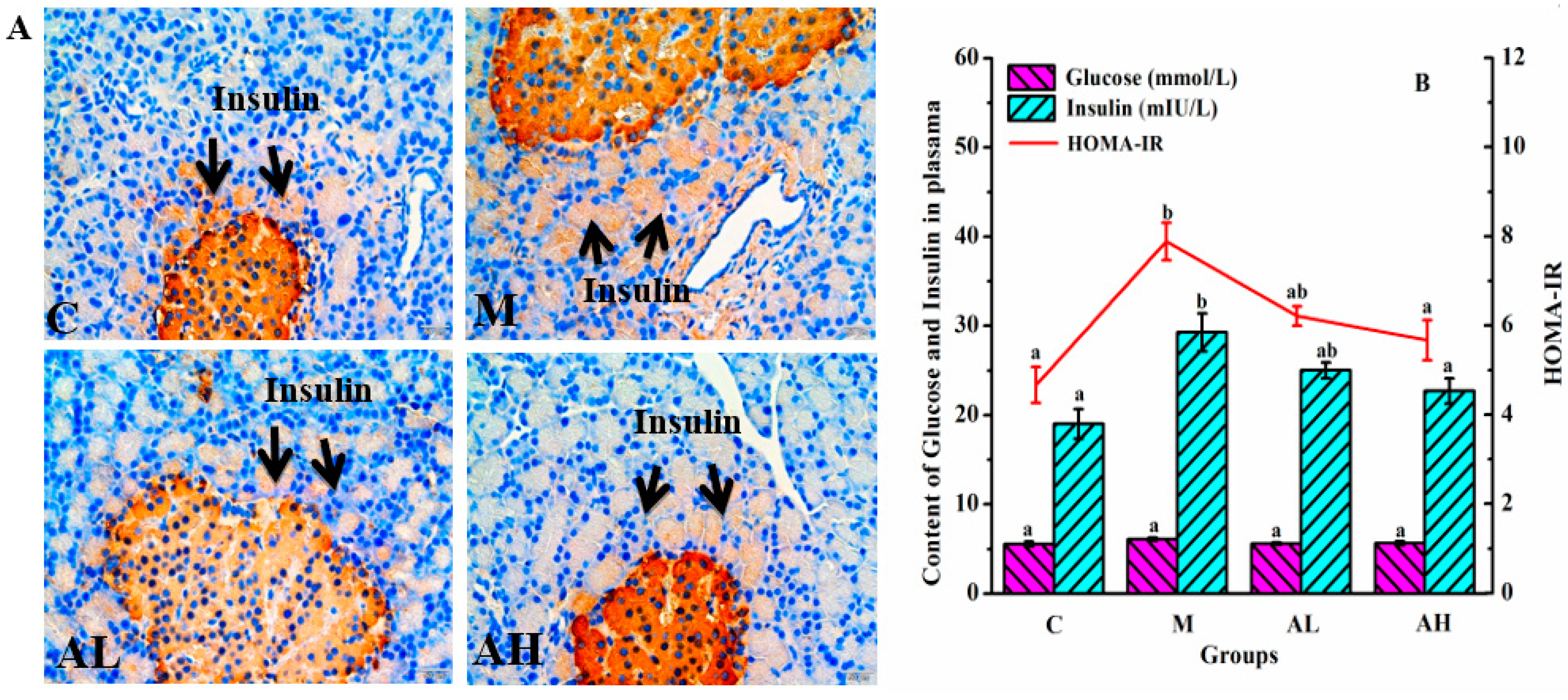 Nutrients 13 04480 g002