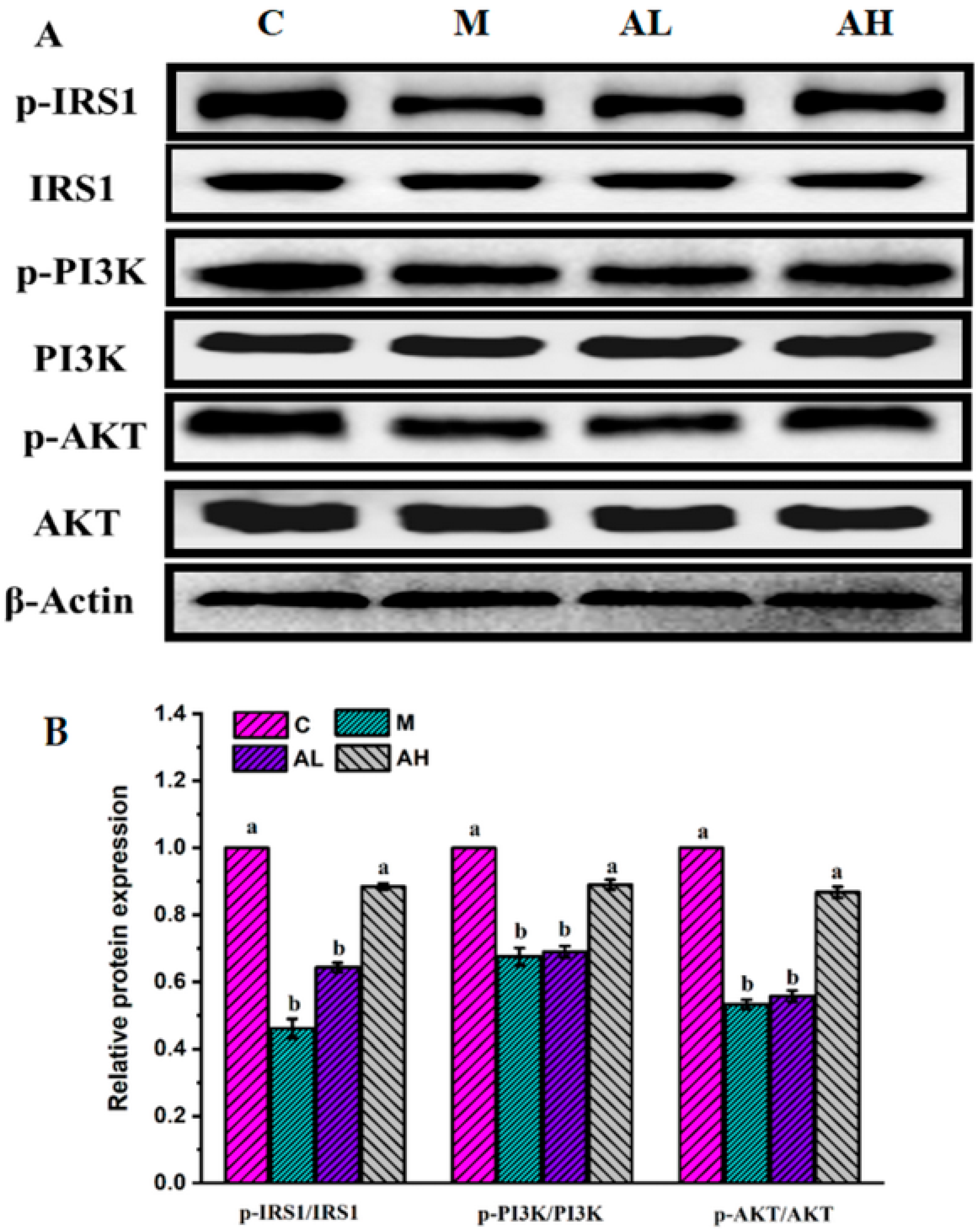 Nutrients 13 04480 g005