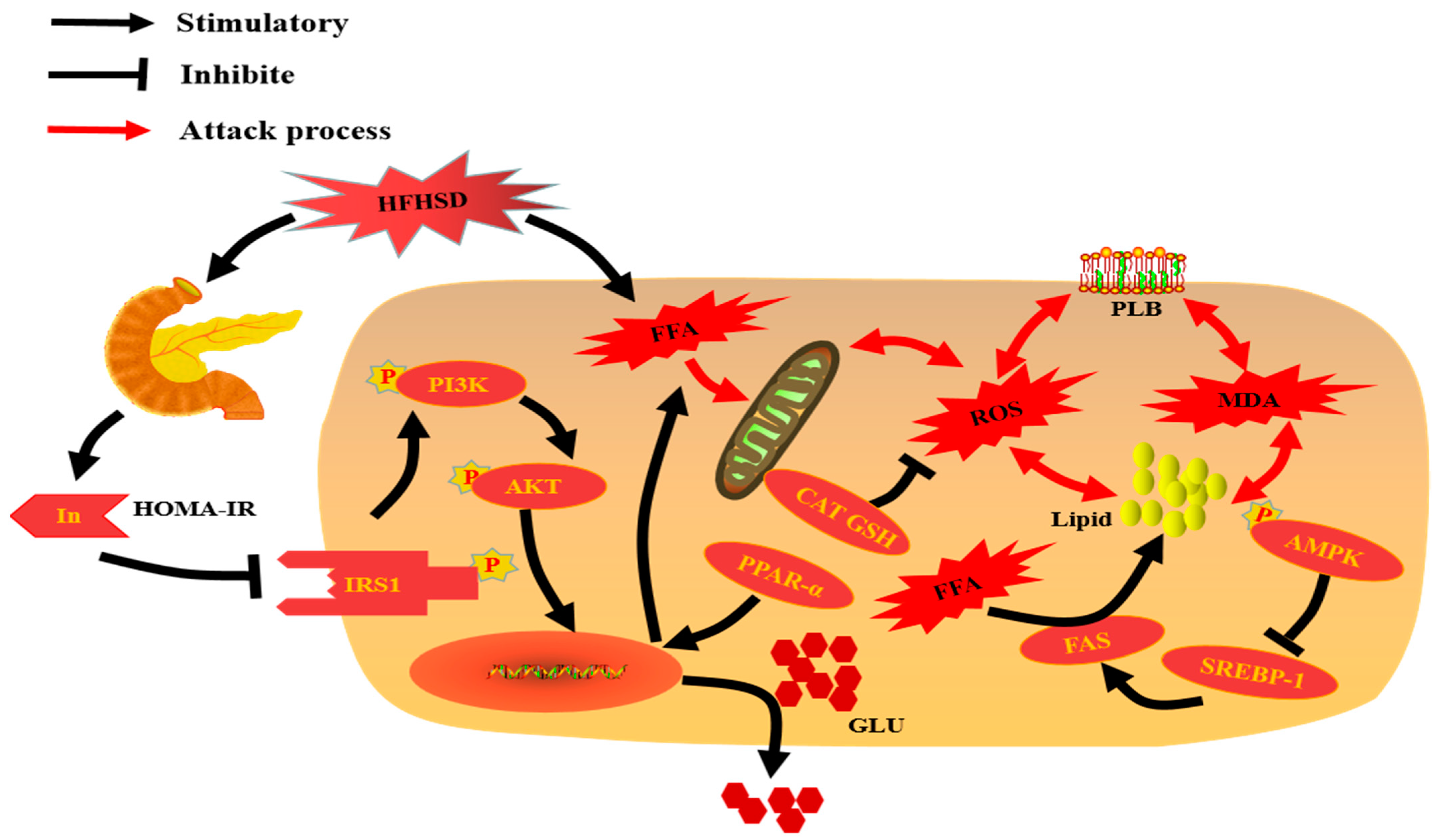 Nutrients 13 04480 g006