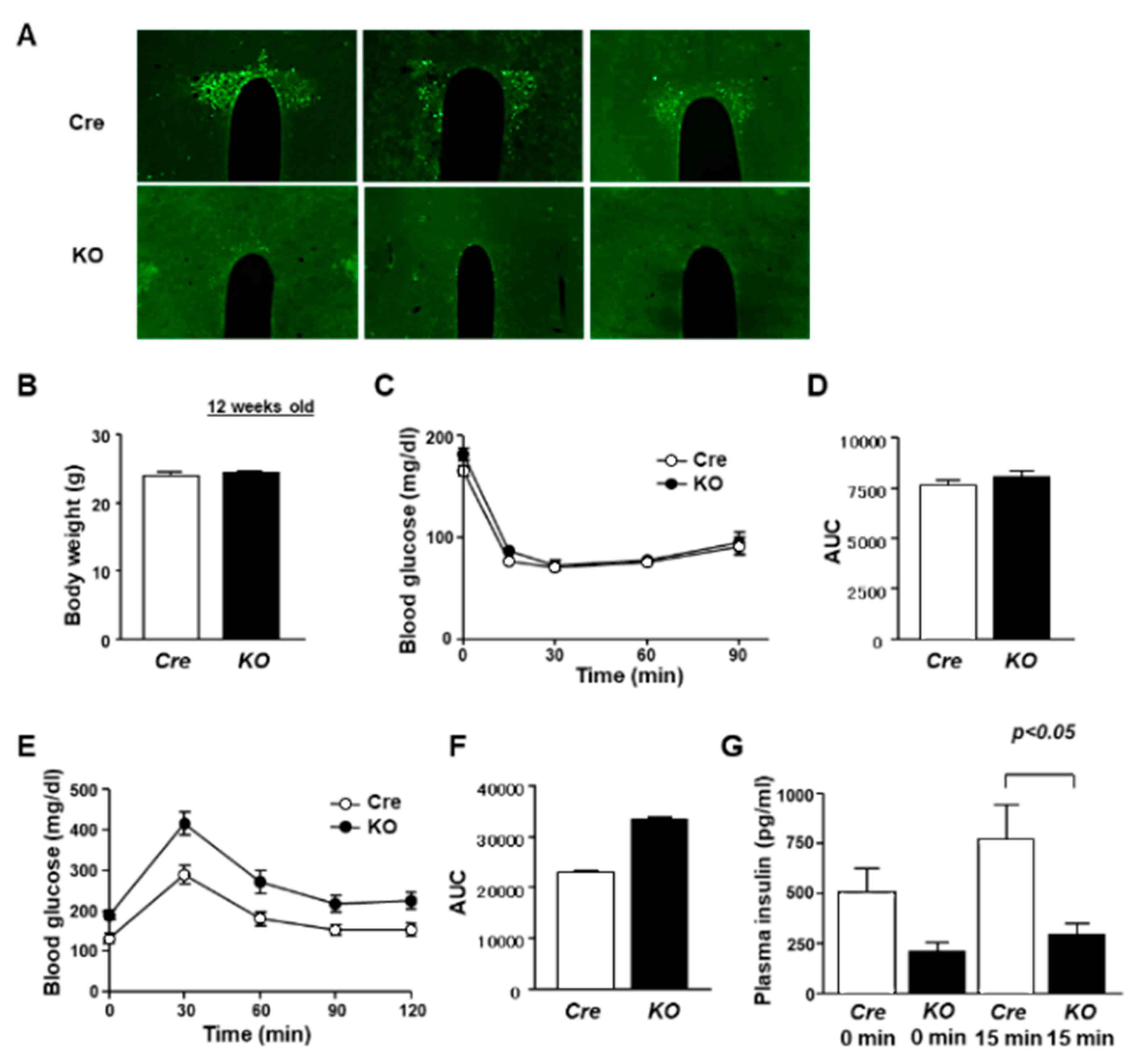 Nutrients 13 04487 g001