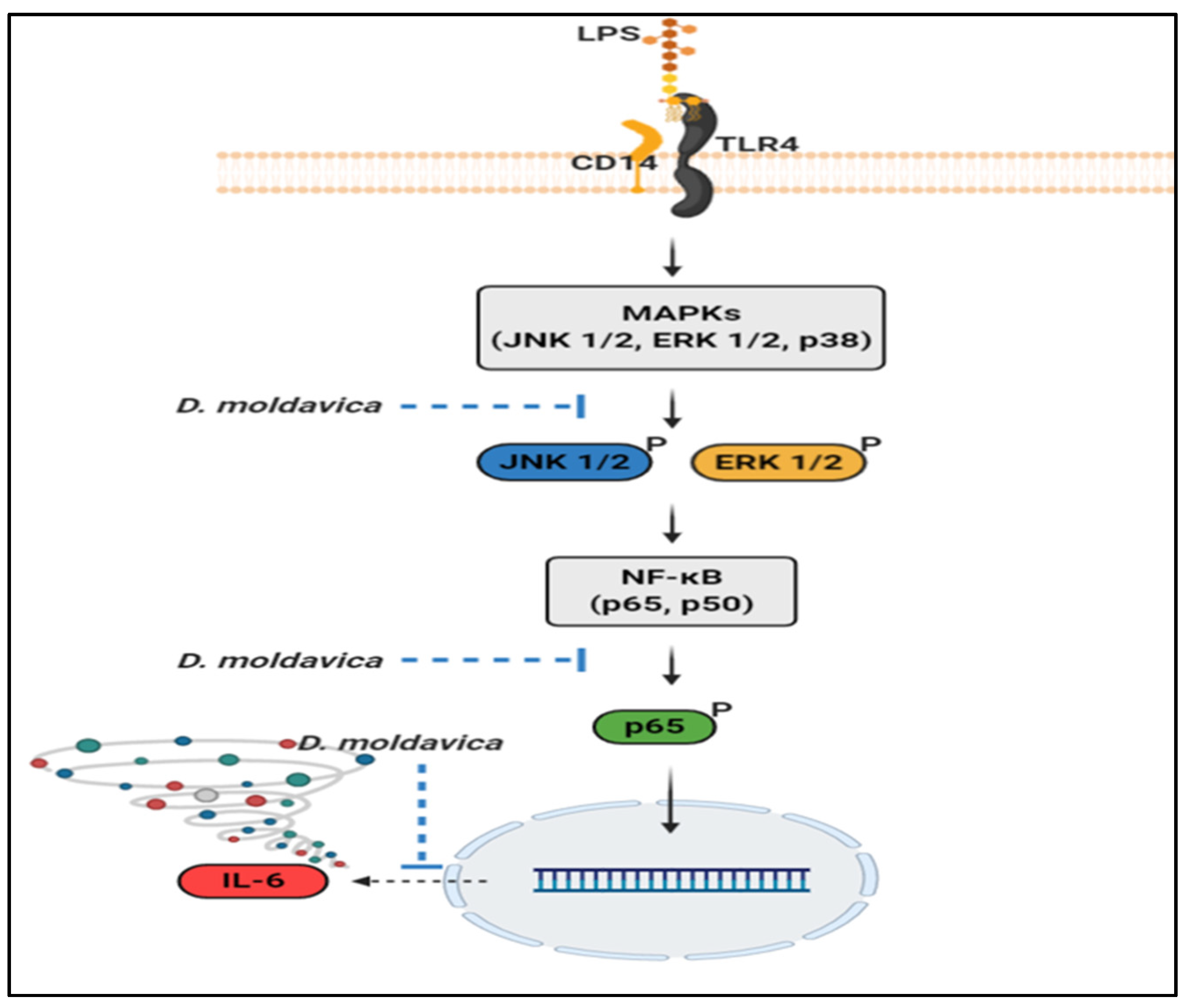 Nutrients 13 04501 g006