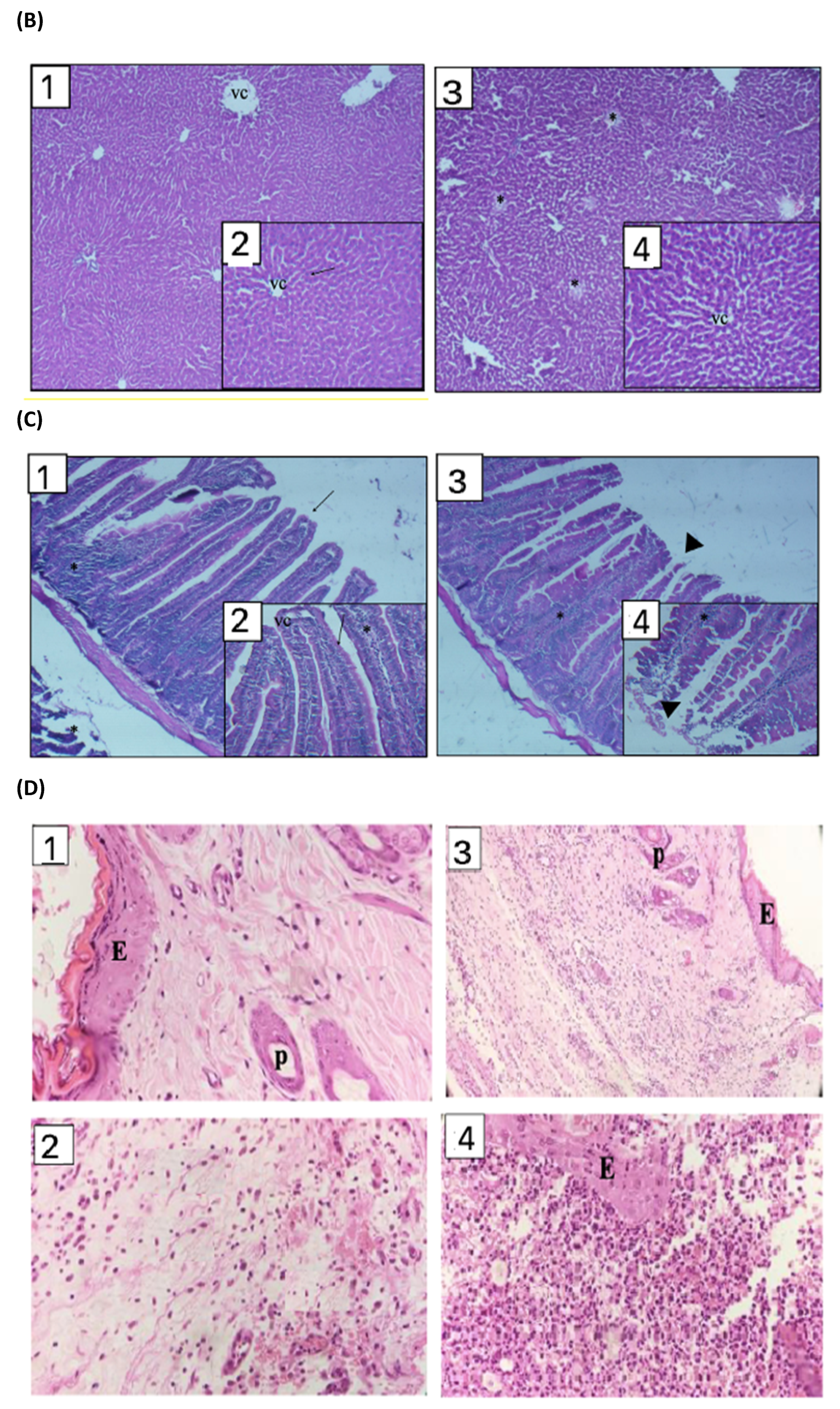 Nutrients 13 04519 g004b Nutrients 13 04519 g004b