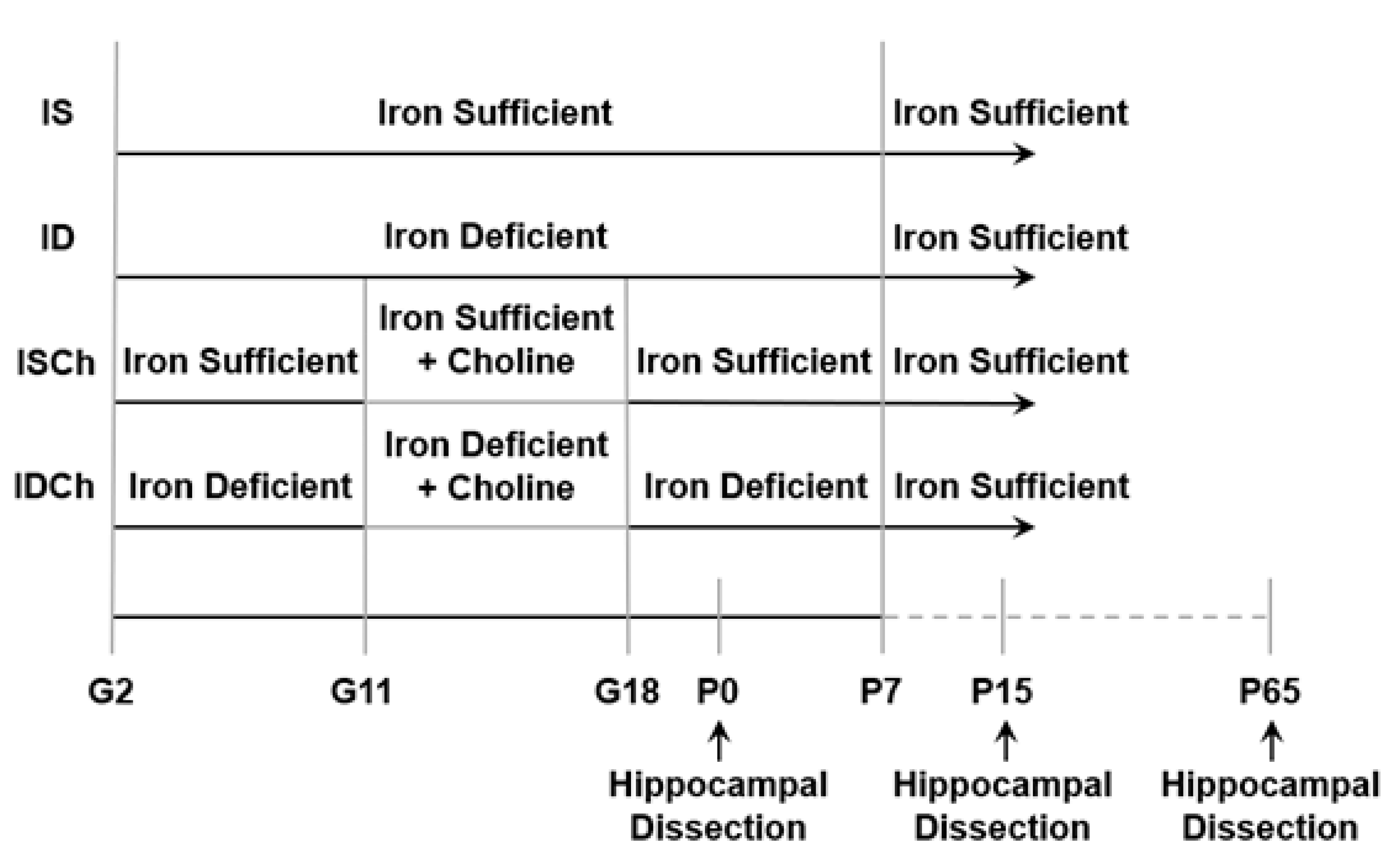 Nutrients 13 04527 g001 Nutrients 13 04527 g001