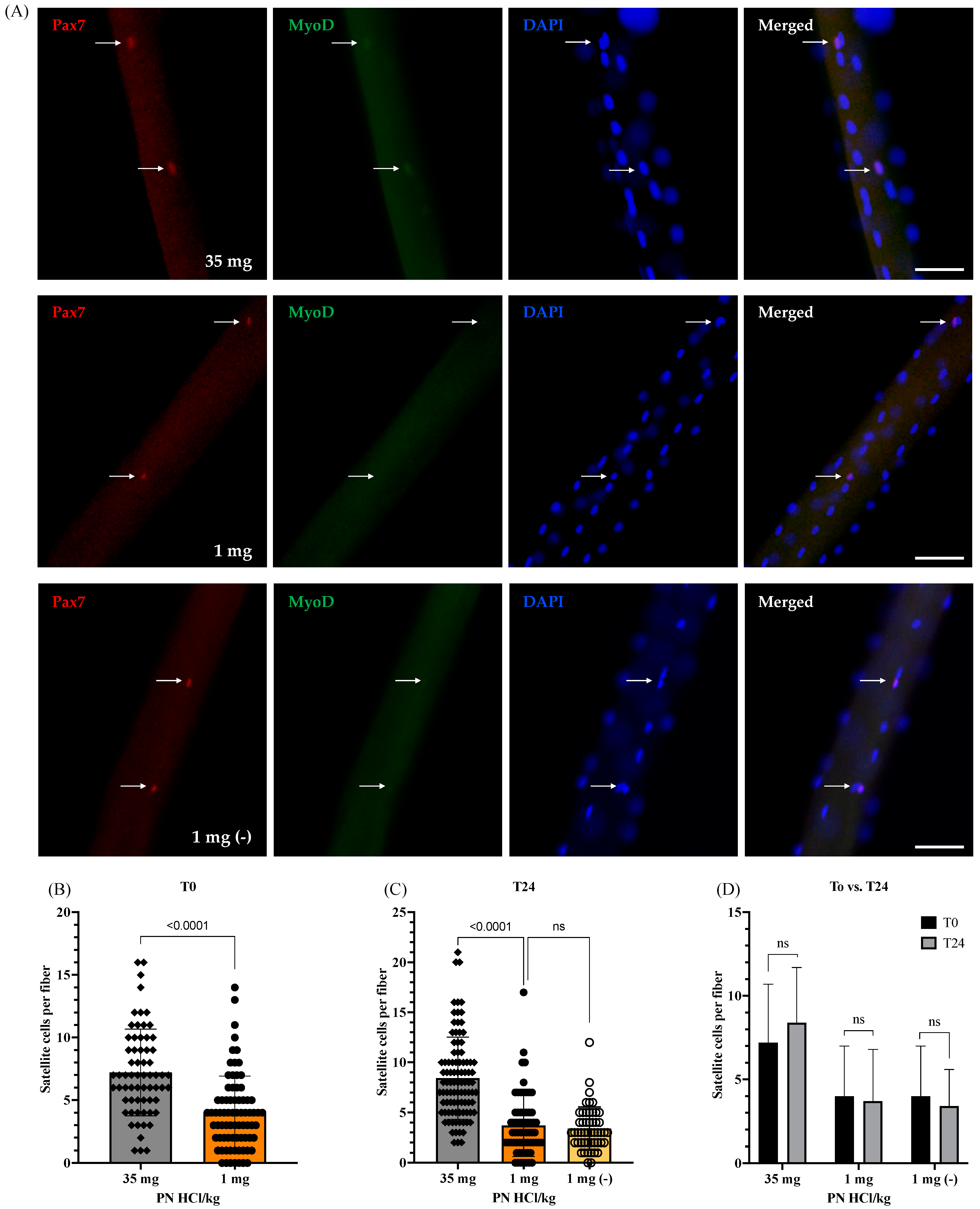 Nutrients 13 04531 g002
