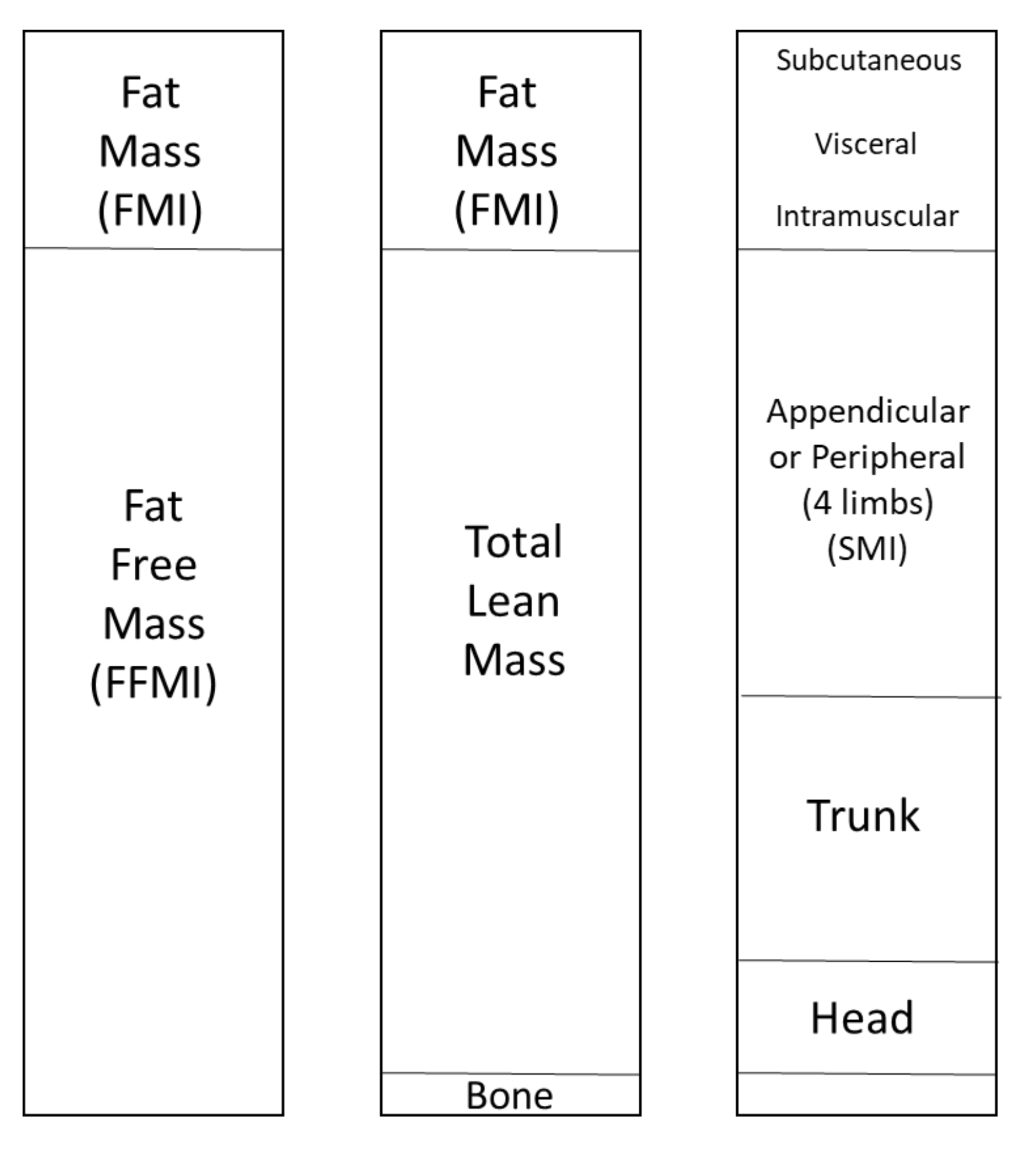 Nutrients 13 04533 g001