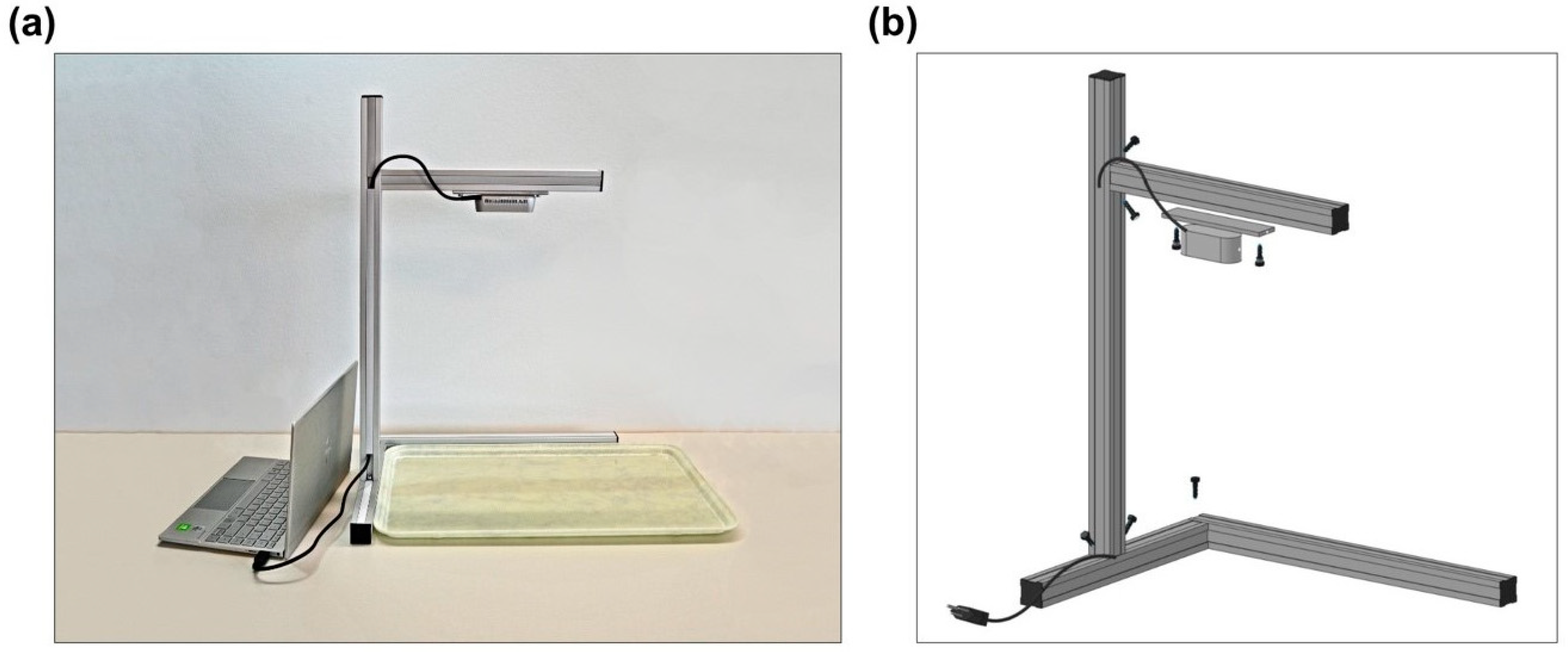 Nutrients 13 04539 g001 Nutrients 13 04539 g001