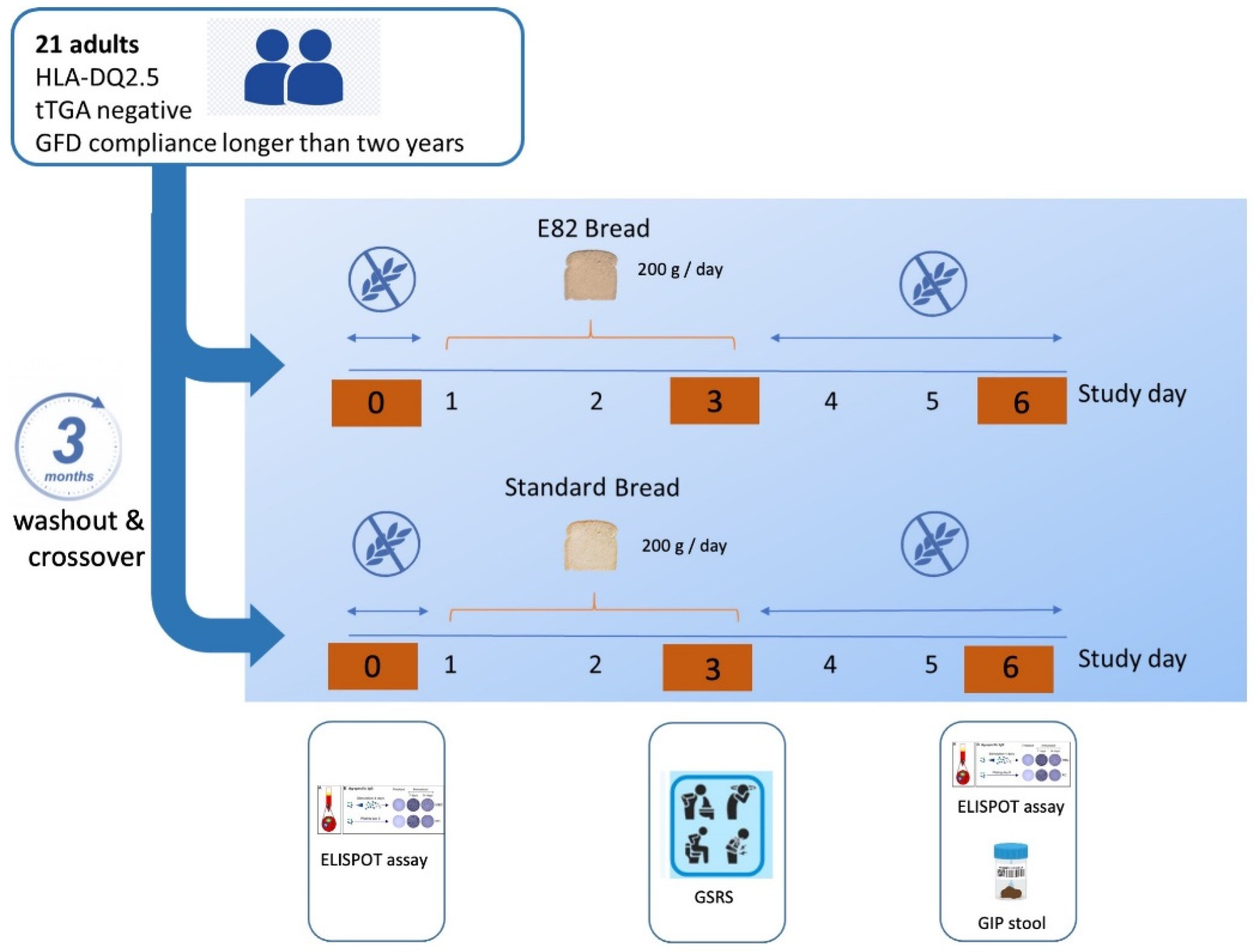 Nutrients 13 04548 g001