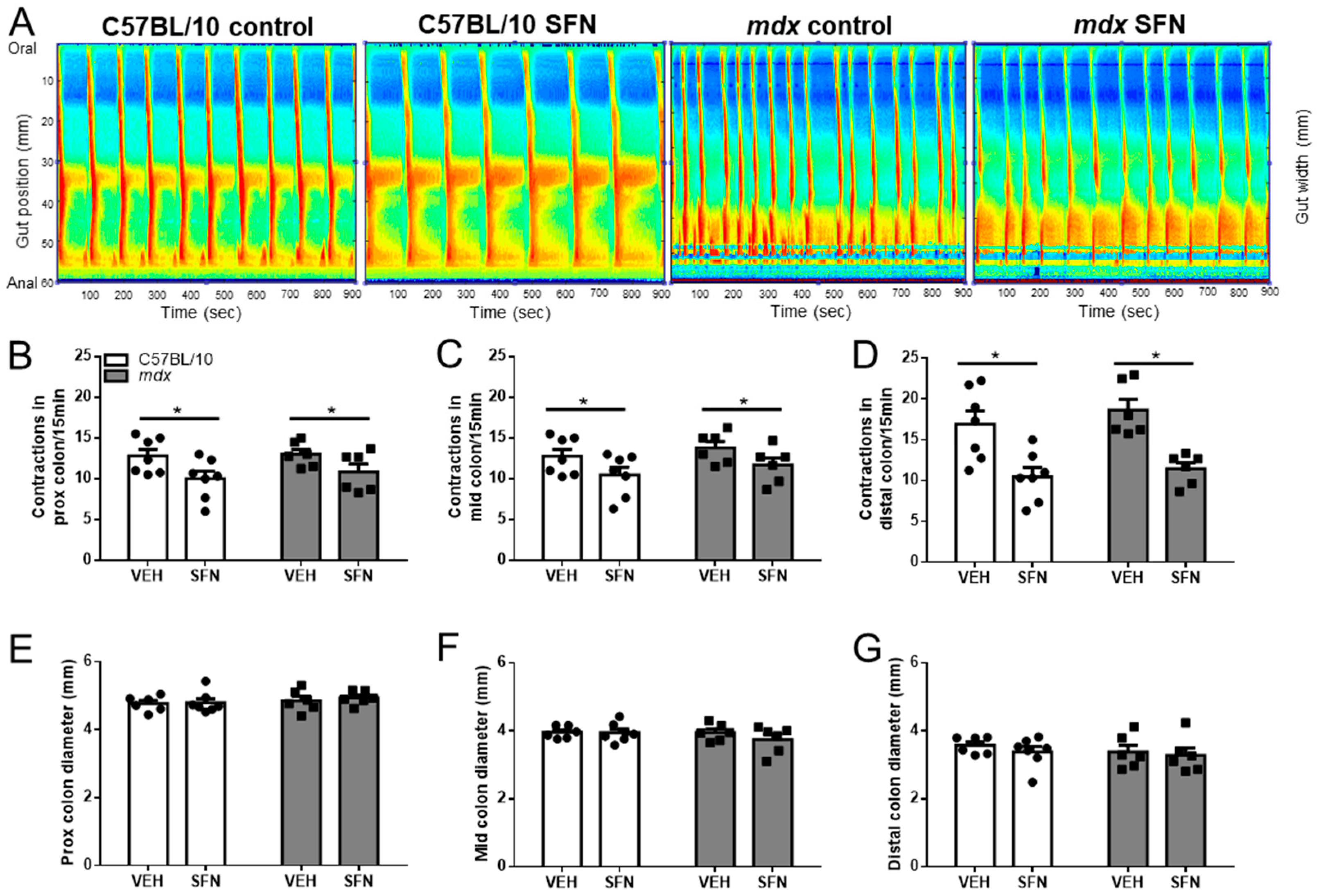 Nutrients 13 04559 g001