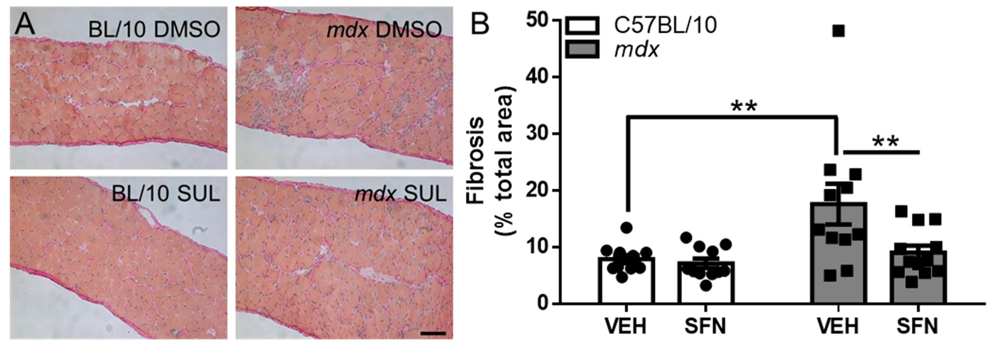 Nutrients 13 04559 g004