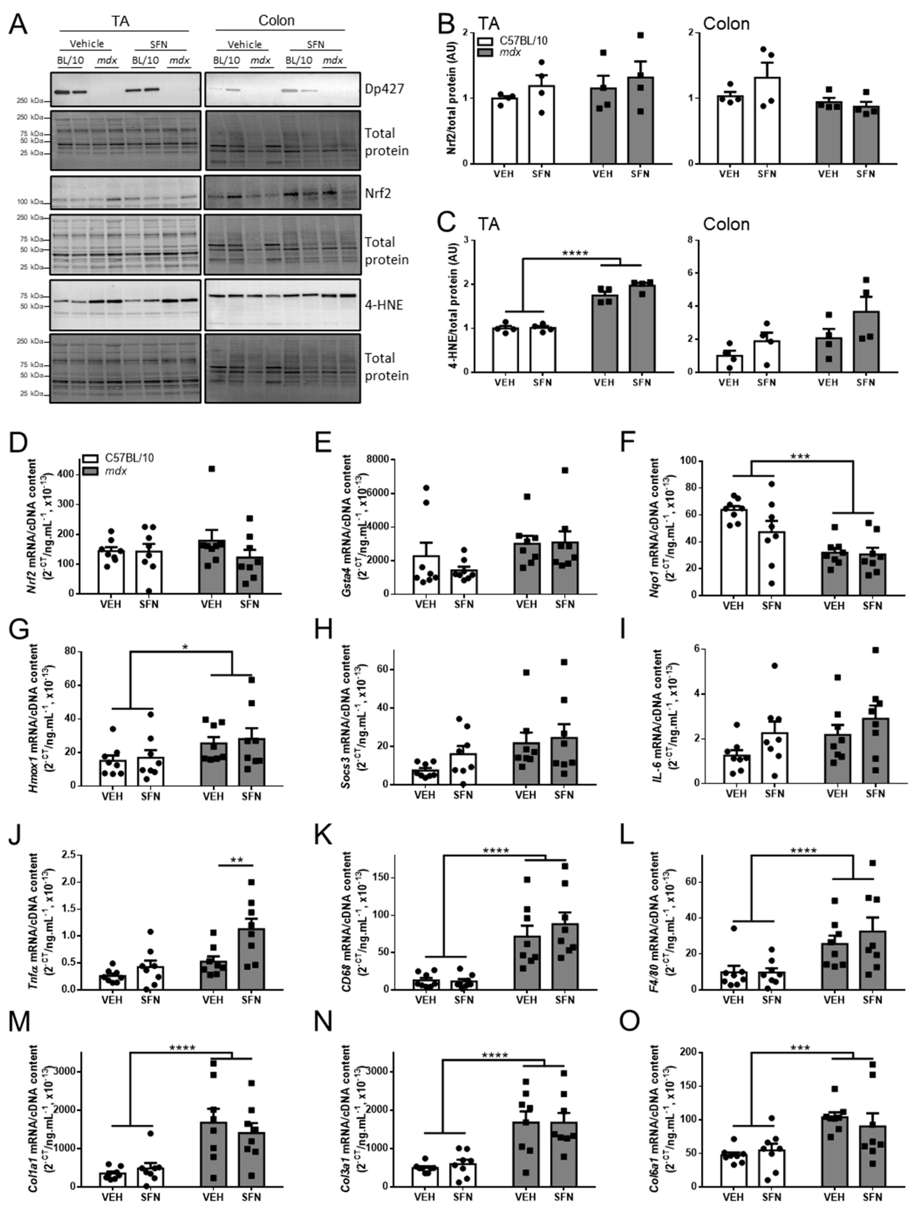 Nutrients 13 04559 g005