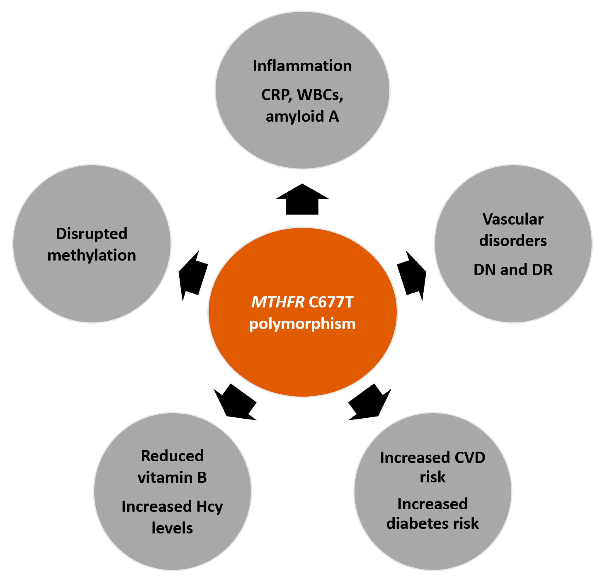 Nutrients 13 04562 g002 Nutrients 13 04562 g002
