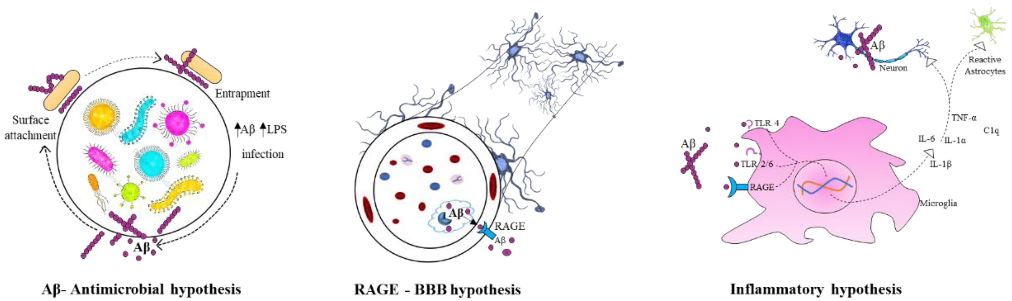 Nutrients 14 00020 g002