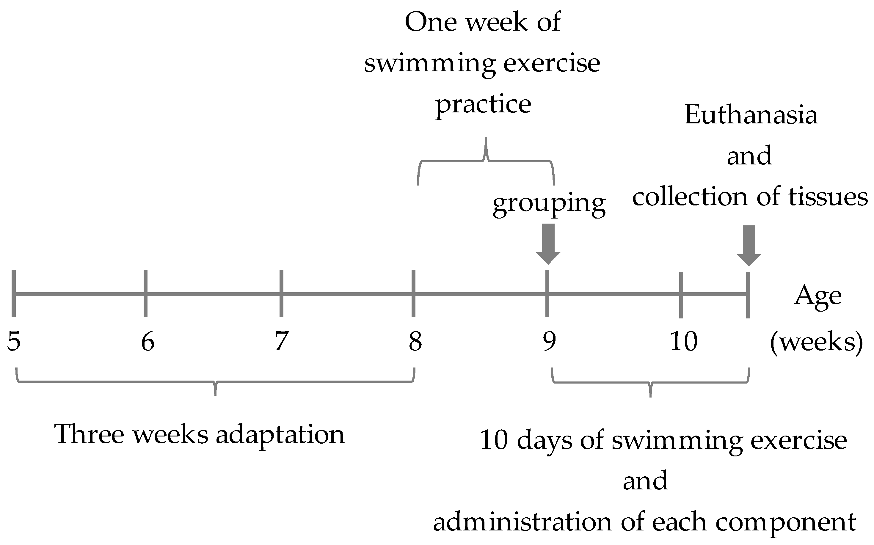 Nutrients 14 00021 g003 Nutrients 14 00021 g003