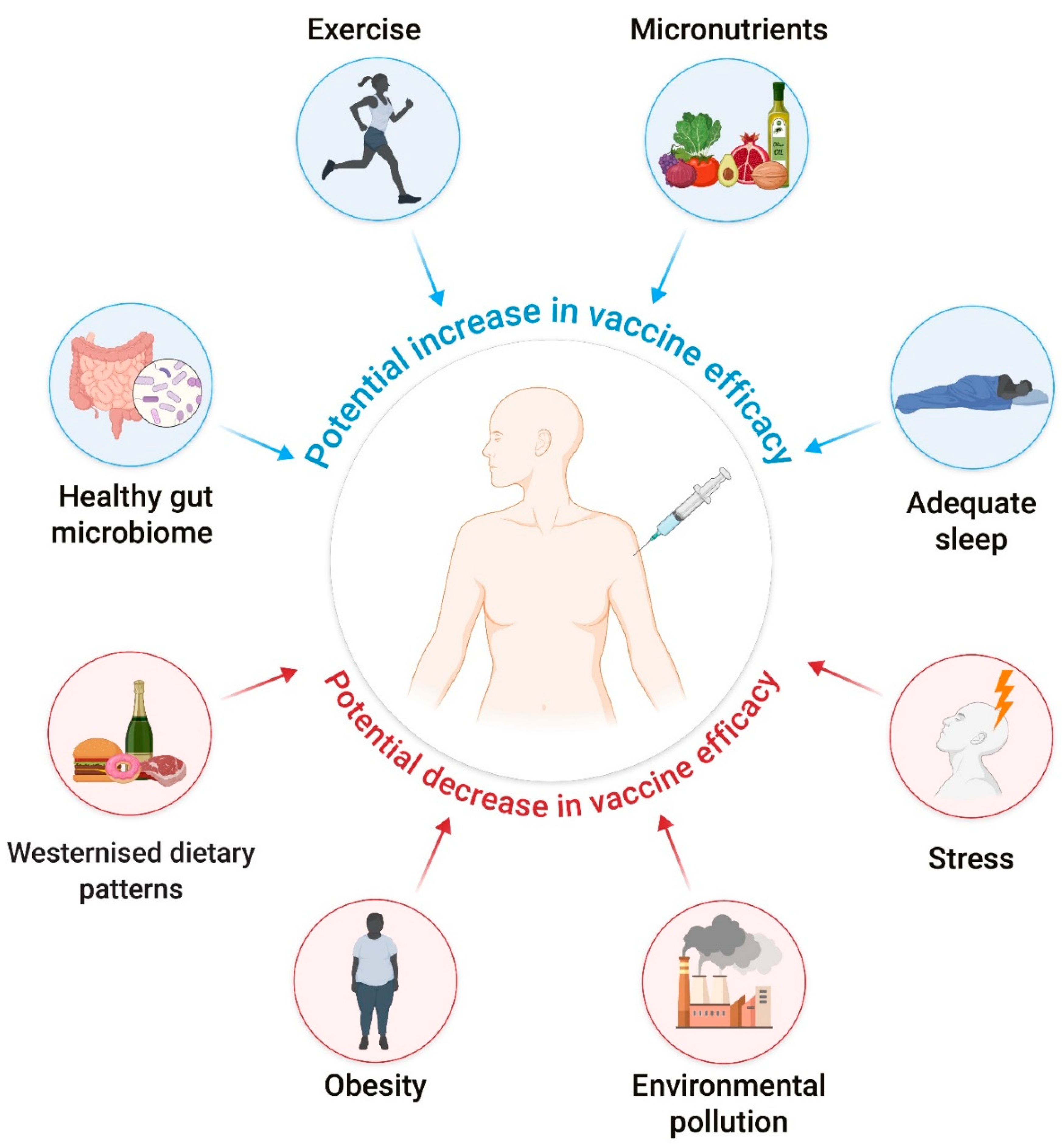 Nutrients 14 00024 g001