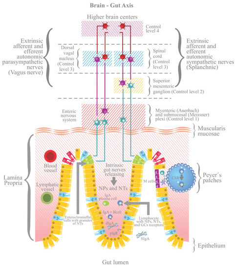 健康・医学 THE SENSITIVE NERVOUS SYSTEM Sensitive Nervous System: Butler, David: 9780975091029