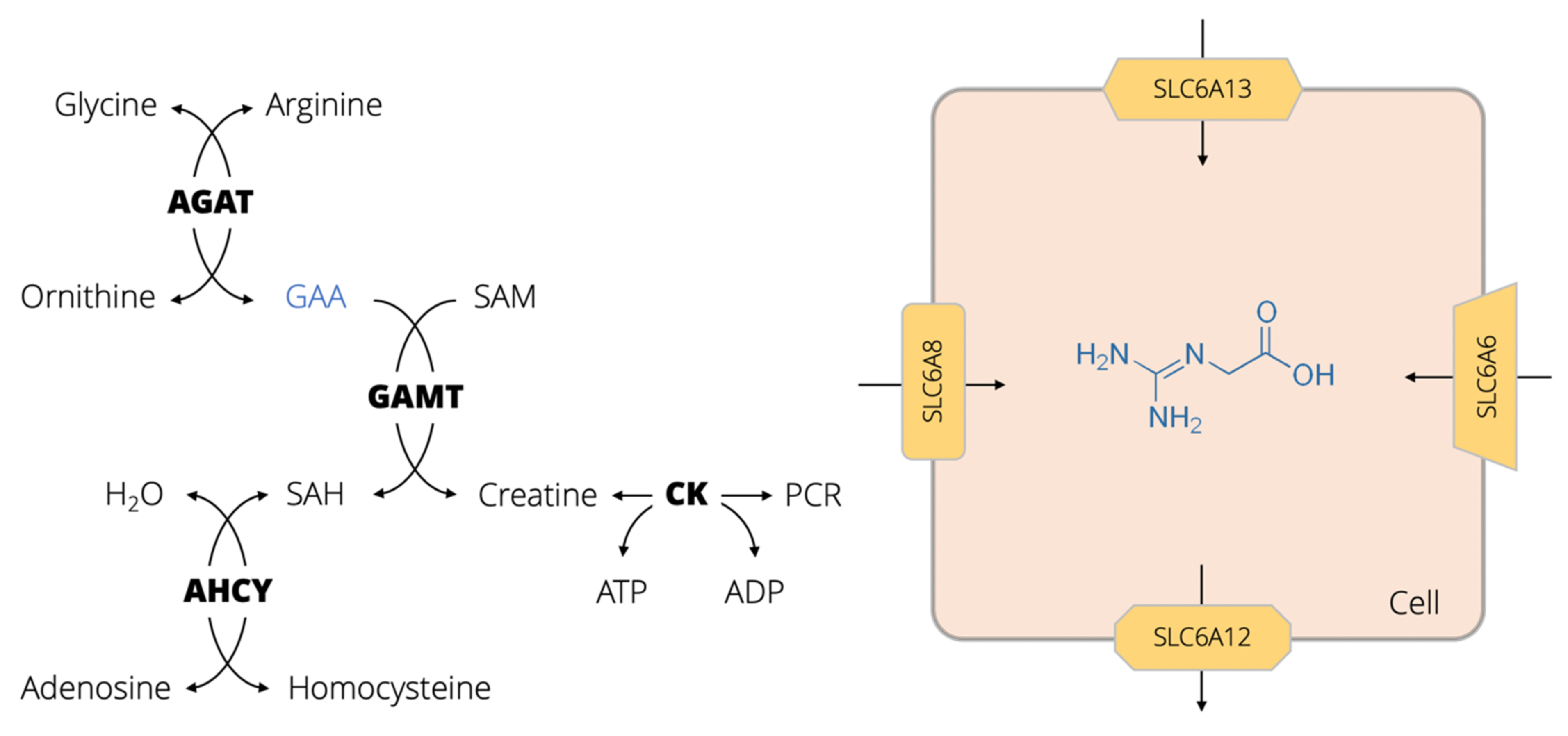 Nutrients 14 00075 g001