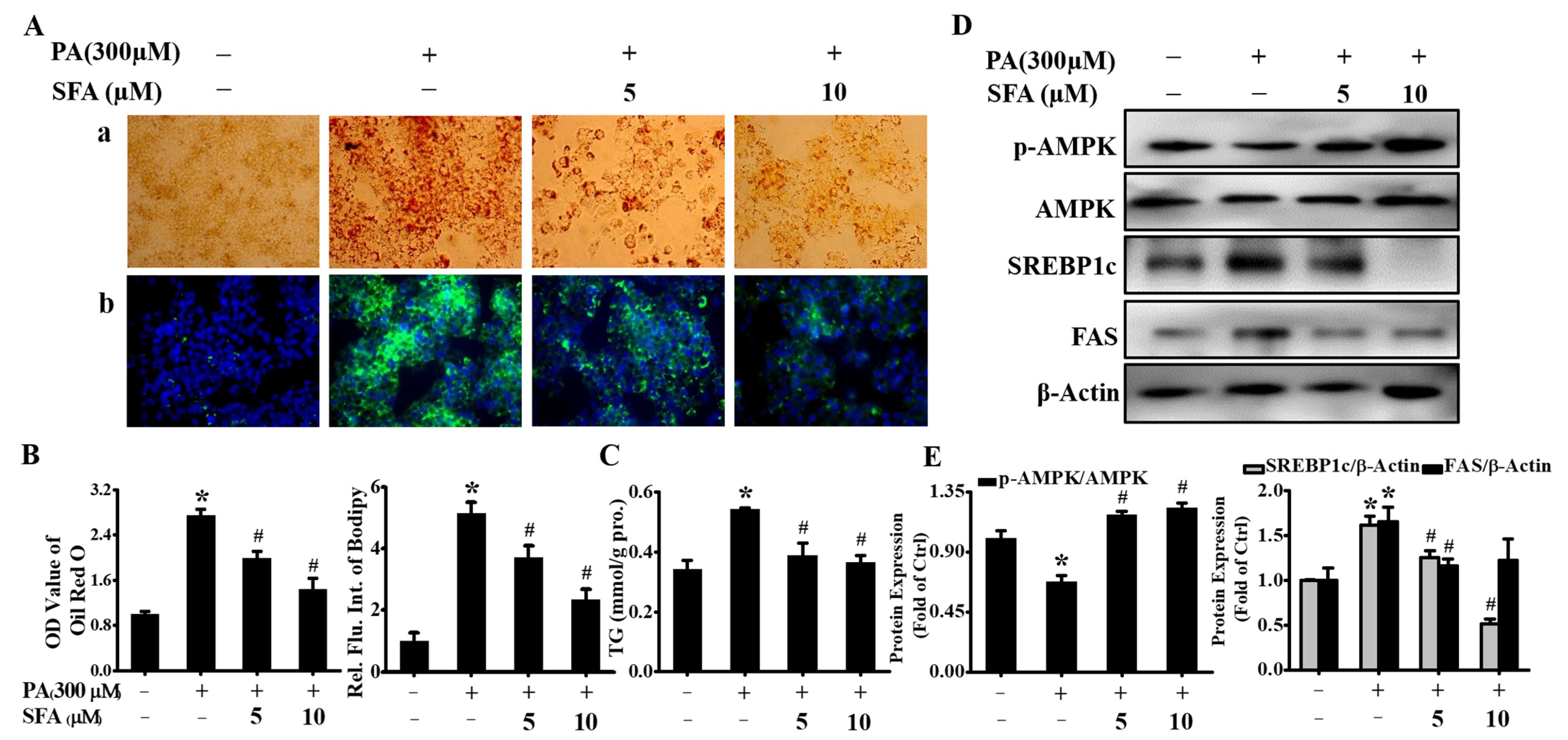 Nutrients 14 00076 g002 550