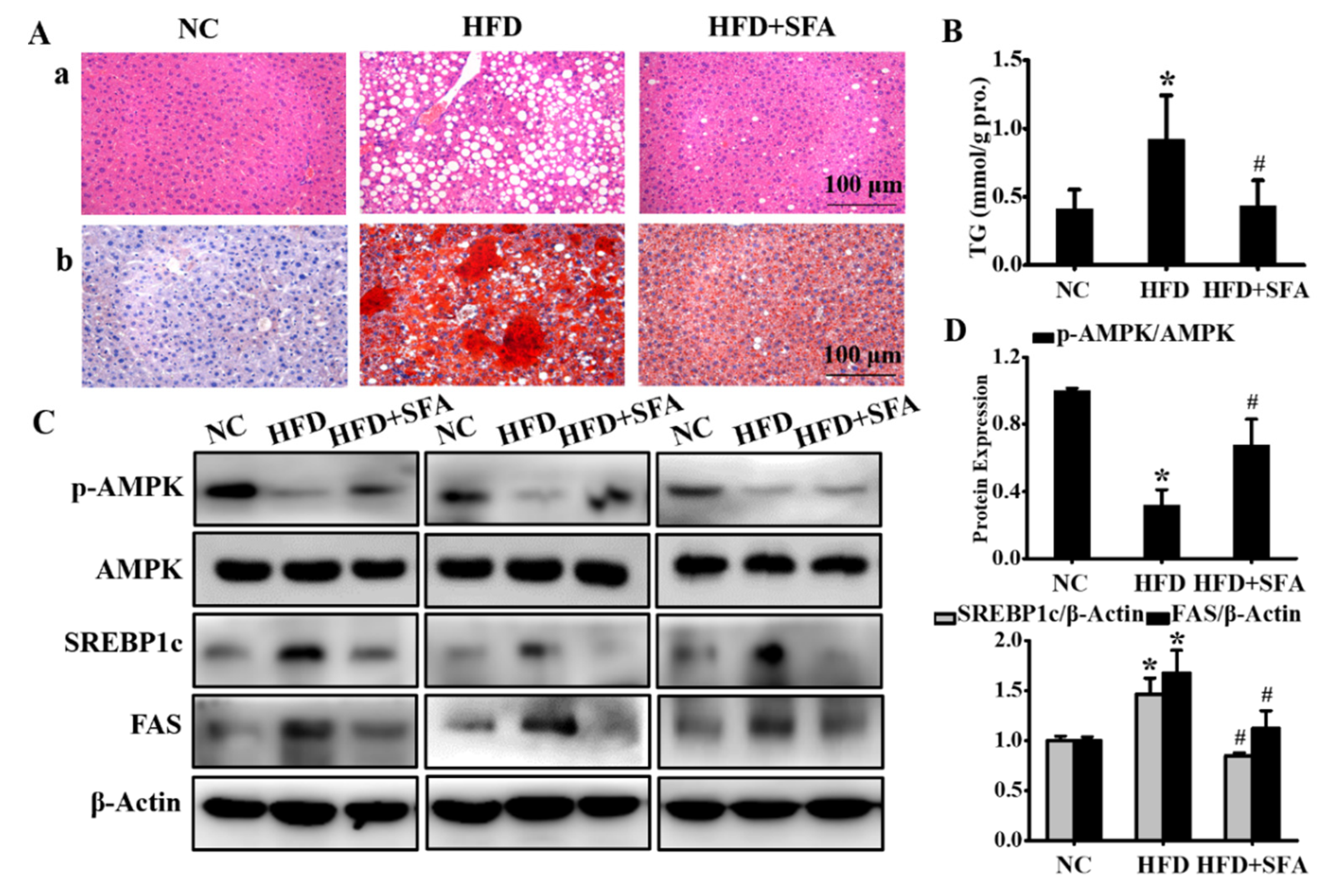 Nutrients 14 00076 g005 550