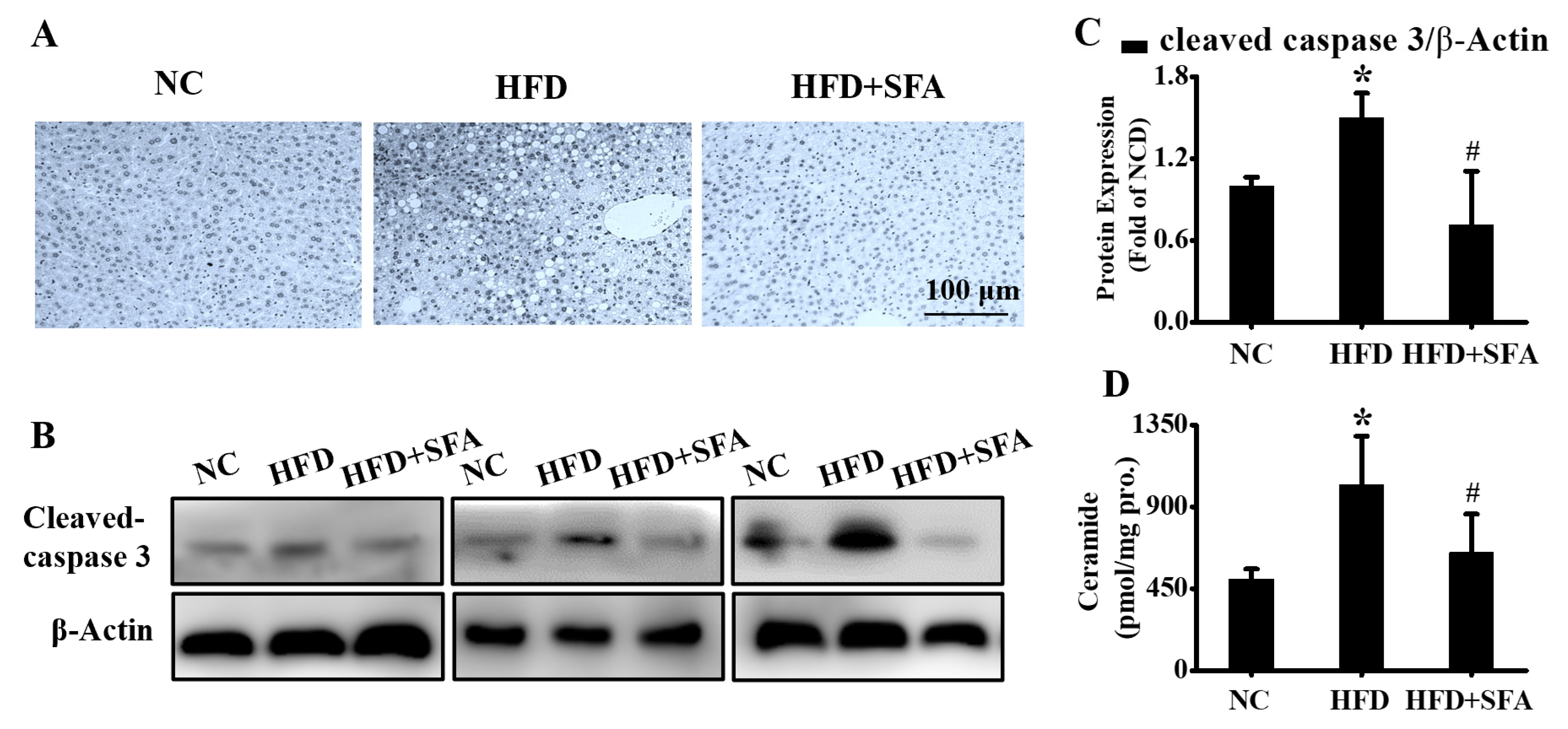 Nutrients 14 00076 g006 550
