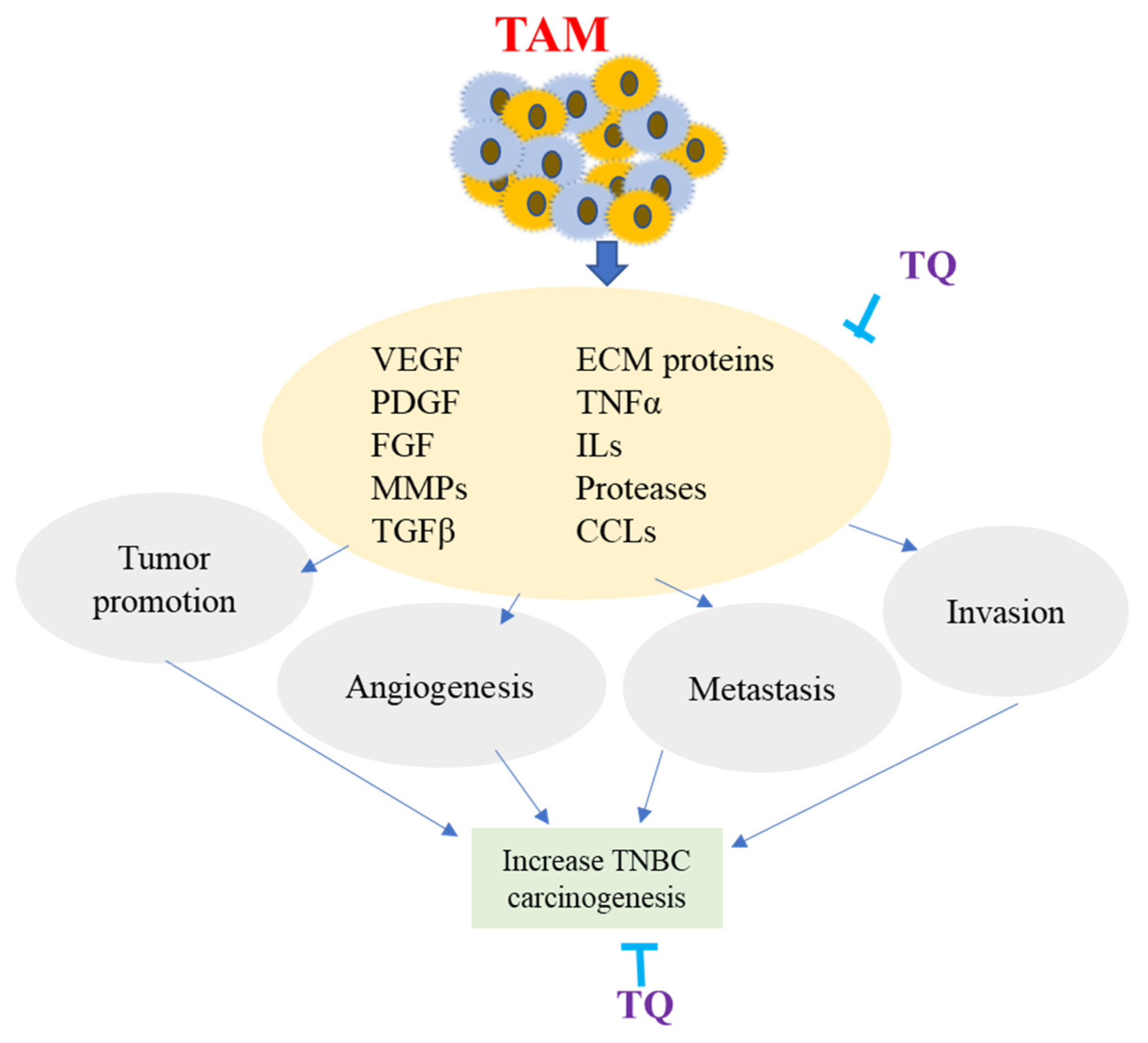 Nutrients 14 00079 g005 Nutrients 14 00079 g005