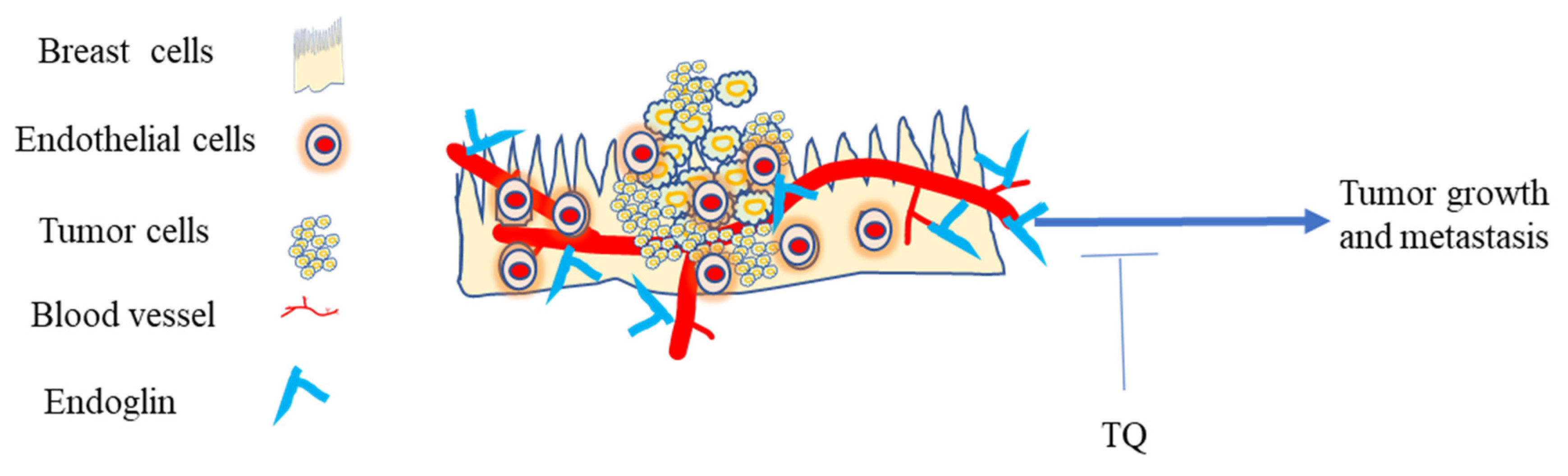Nutrients 14 00079 g006 Nutrients 14 00079 g006