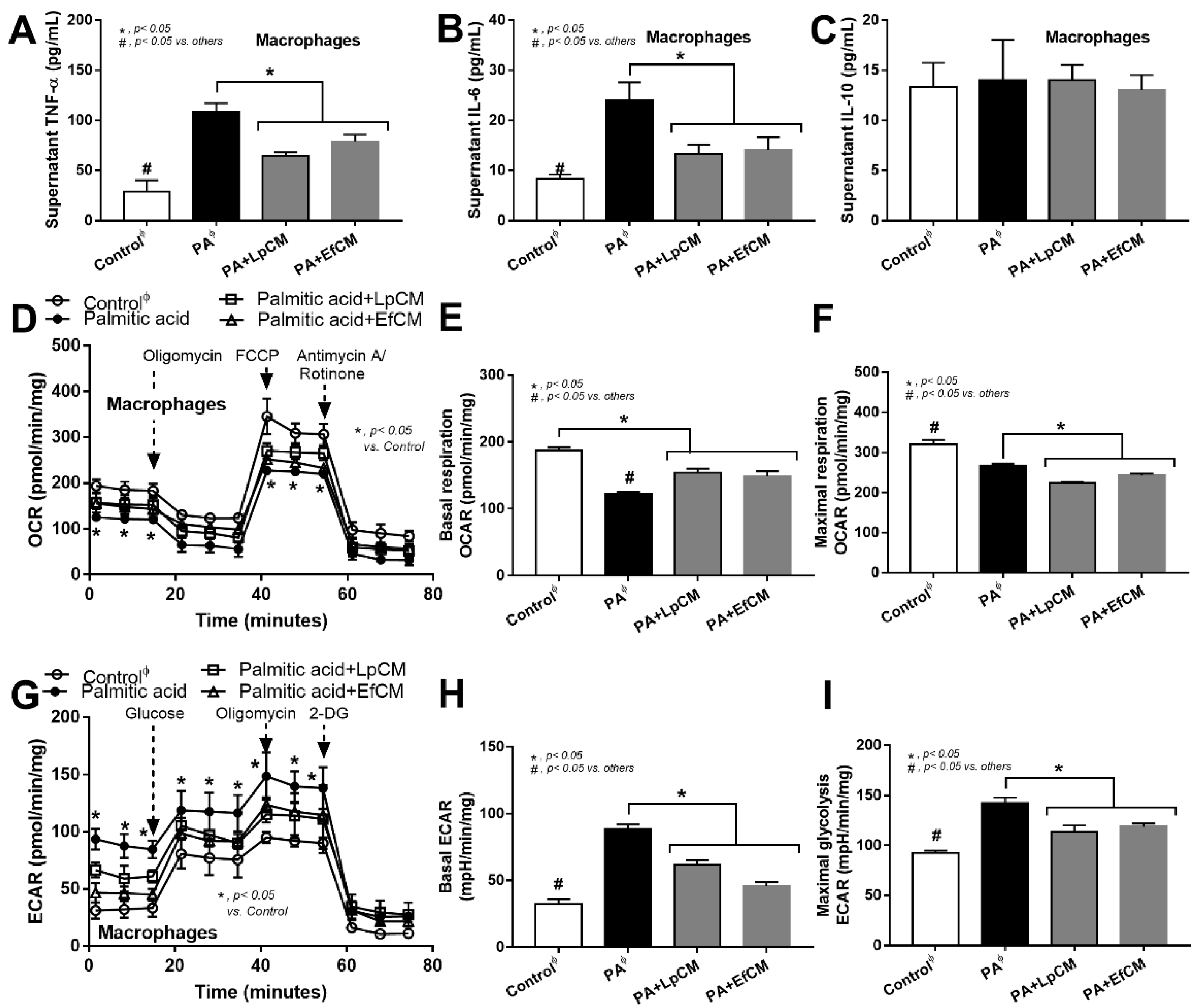 Nutrients 14 00080 g006