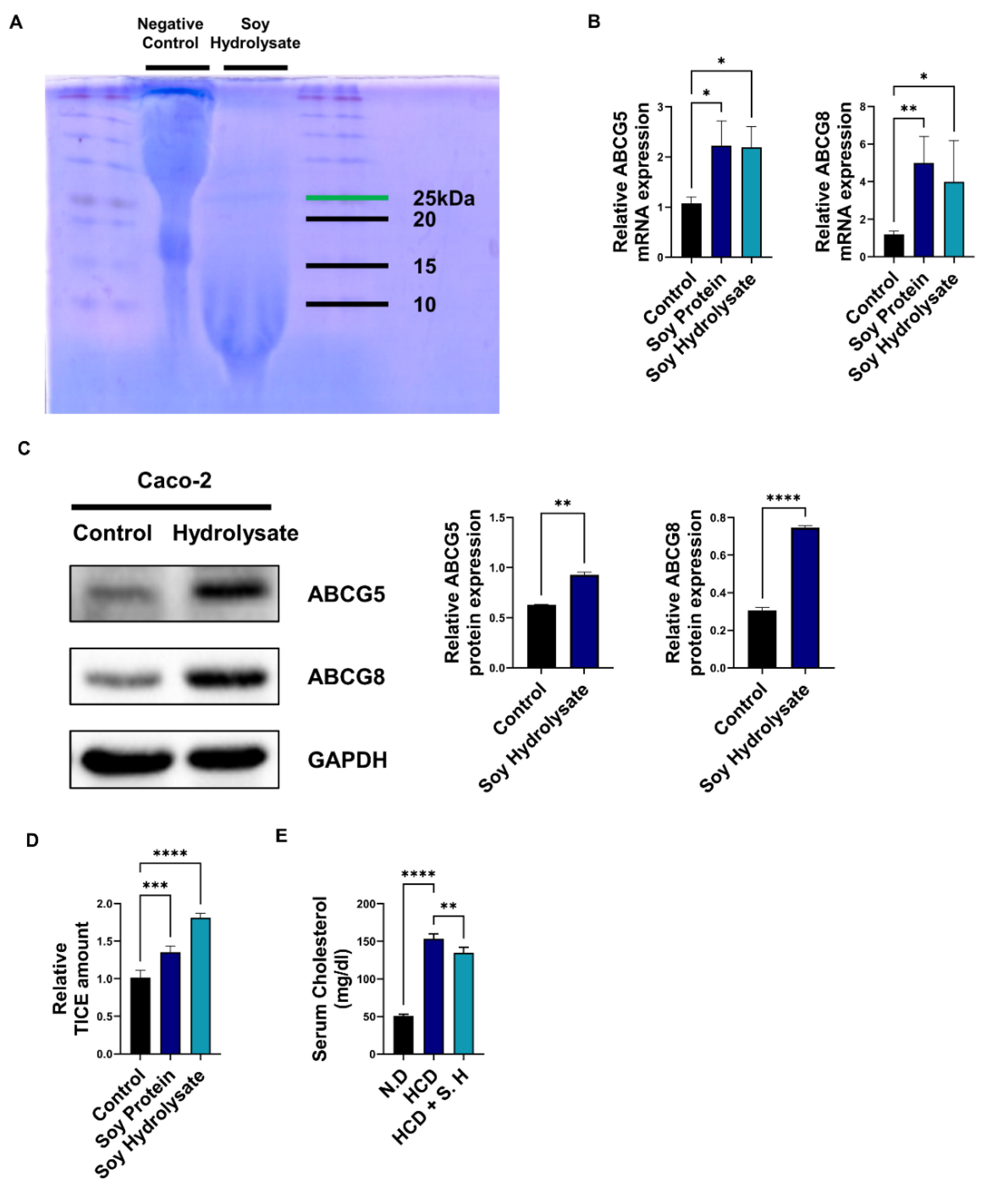 Nutrients 14 00095 g001