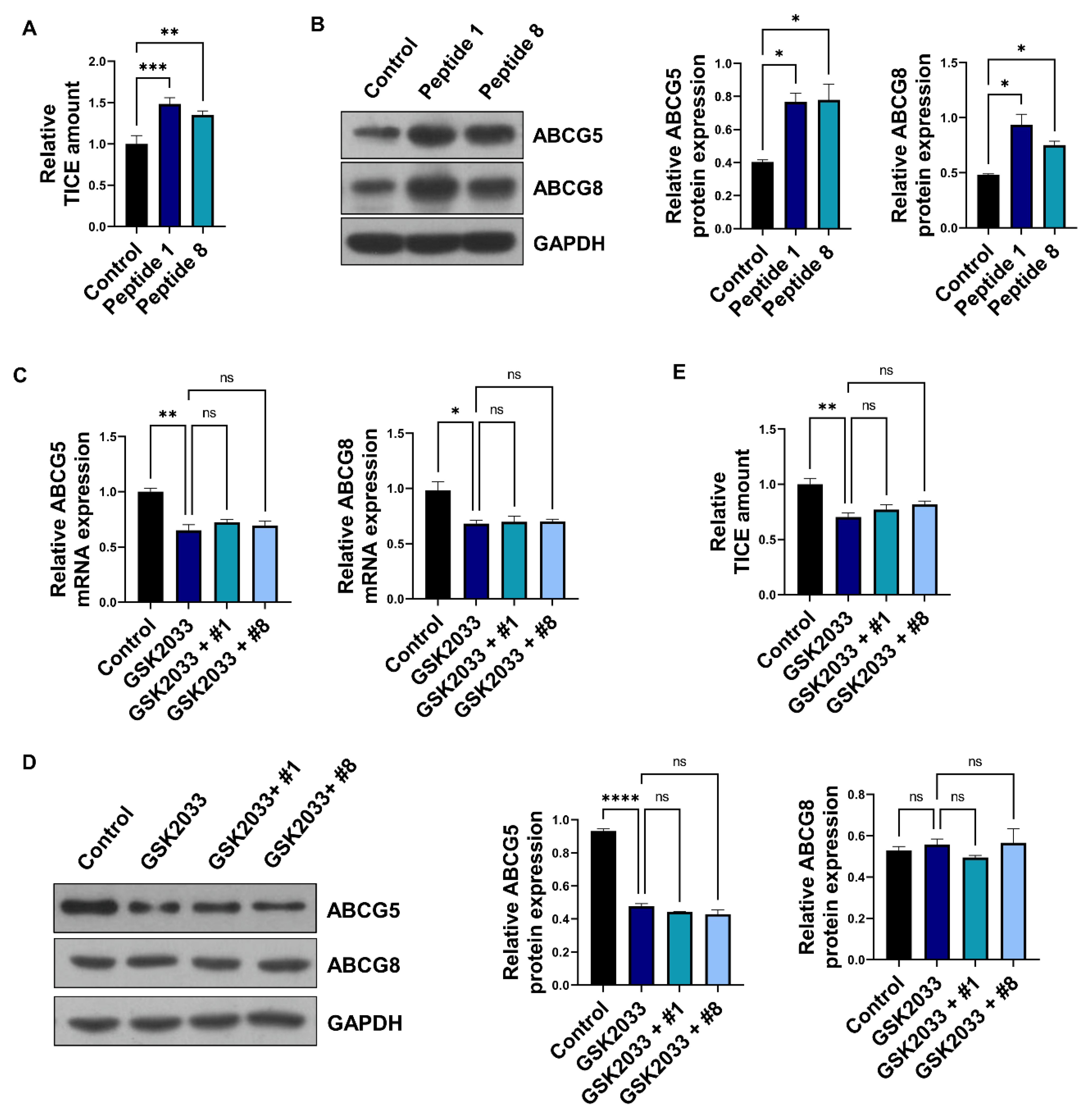 Nutrients 14 00095 g003