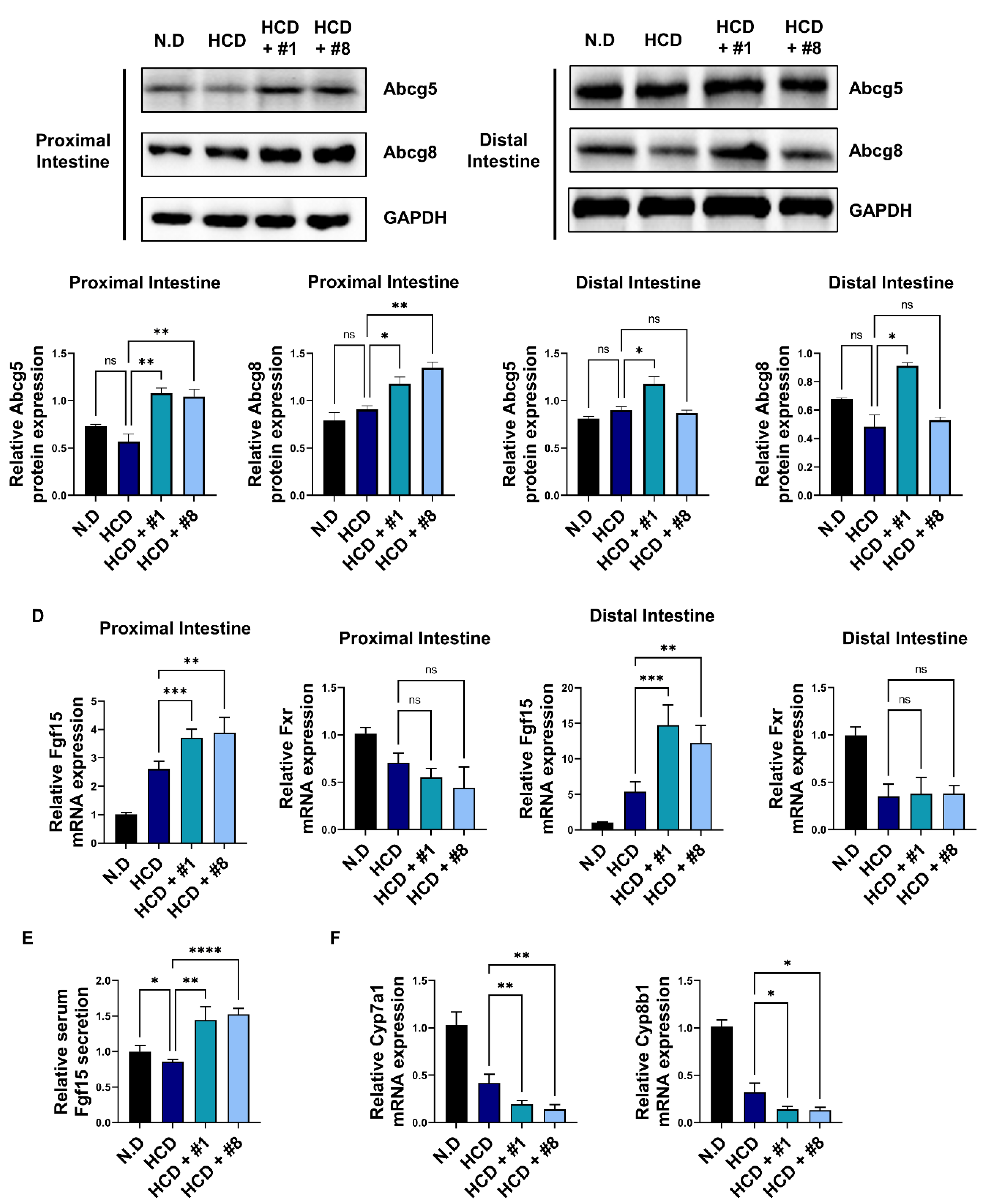Nutrients 14 00095 g005b