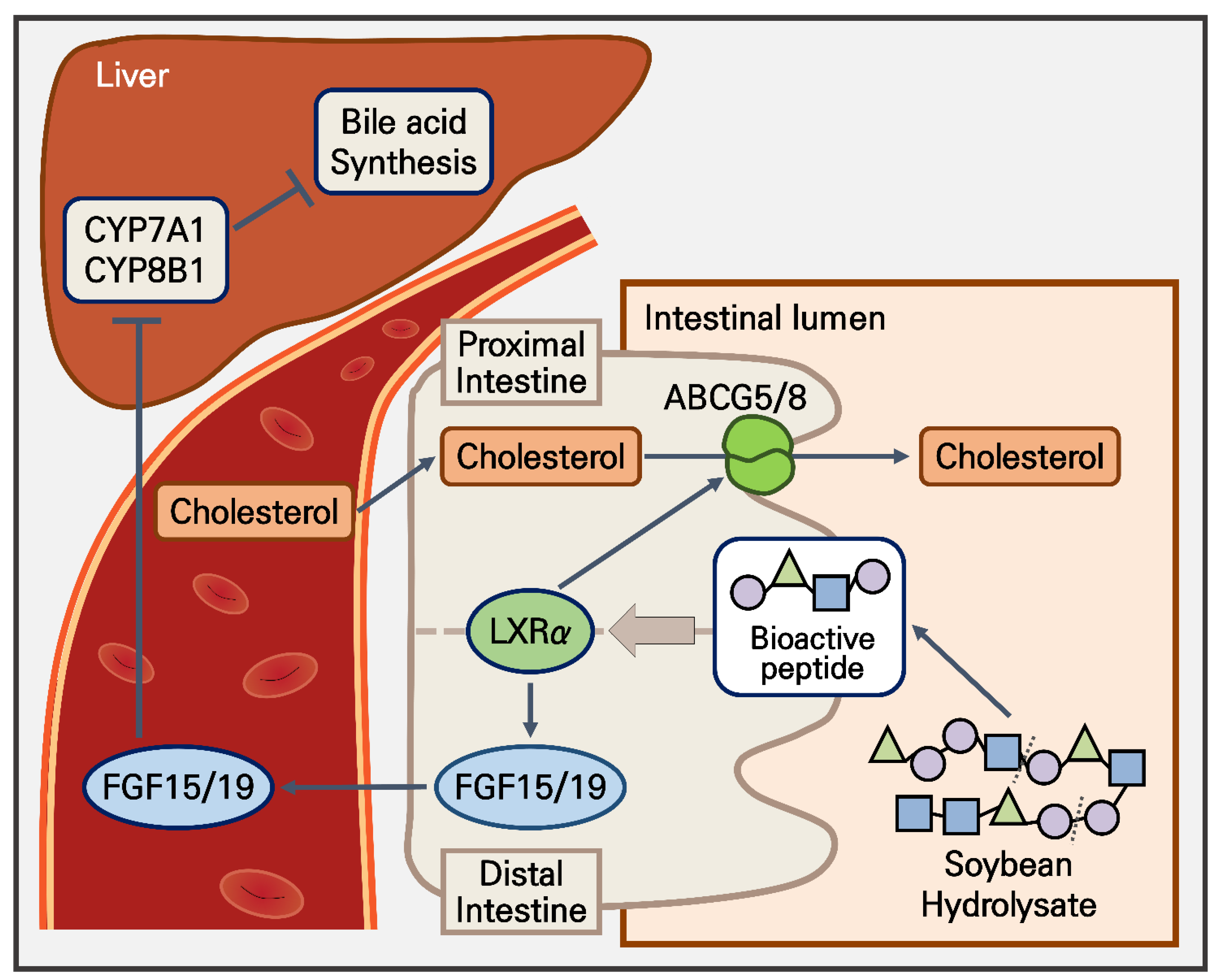 Nutrients 14 00095 g006