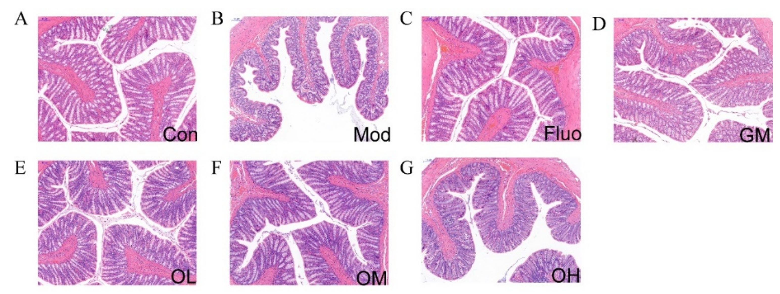 Nutrients 14 00099 g004
