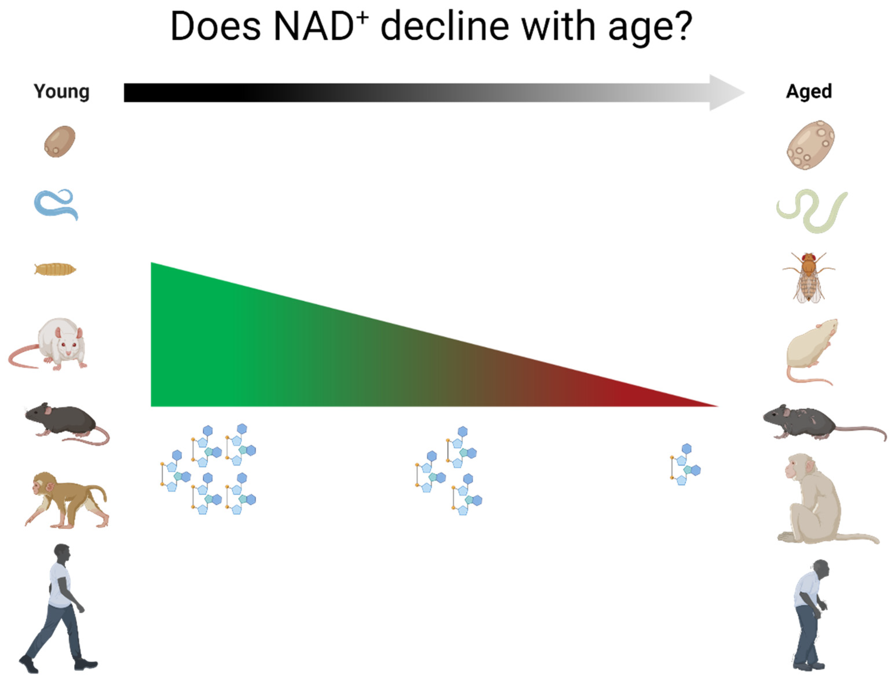 Nutrients 14 00101 g002 550