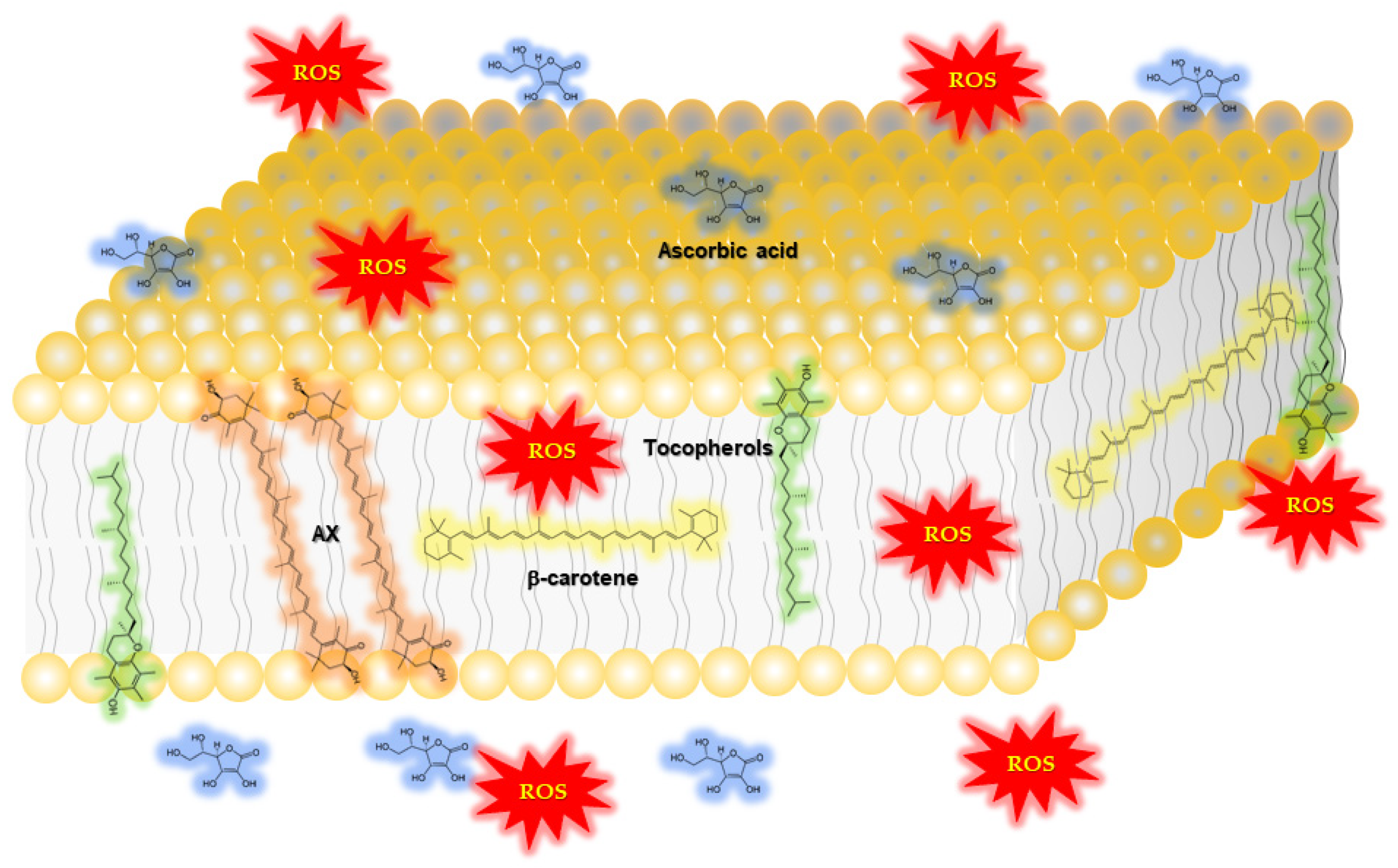 Nutrients 14 00107 g002 Nutrients 14 00107 g002