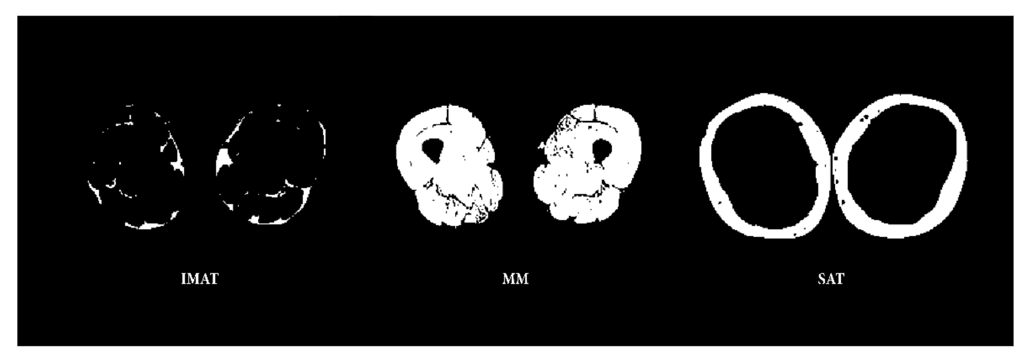 Nutrients 14 00112 g002 Nutrients 14 00112 g002