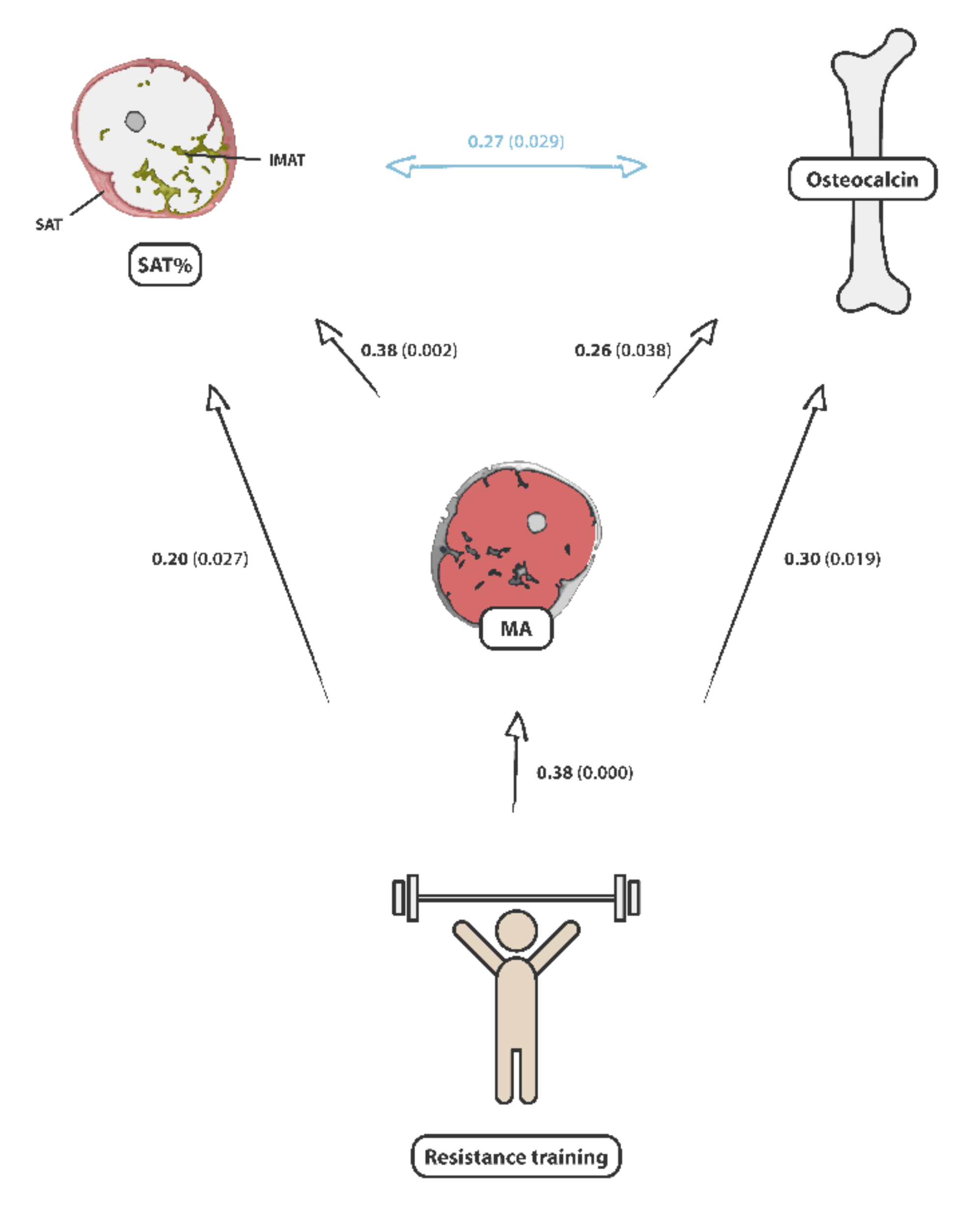 Nutrients 14 00112 g003 Nutrients 14 00112 g003