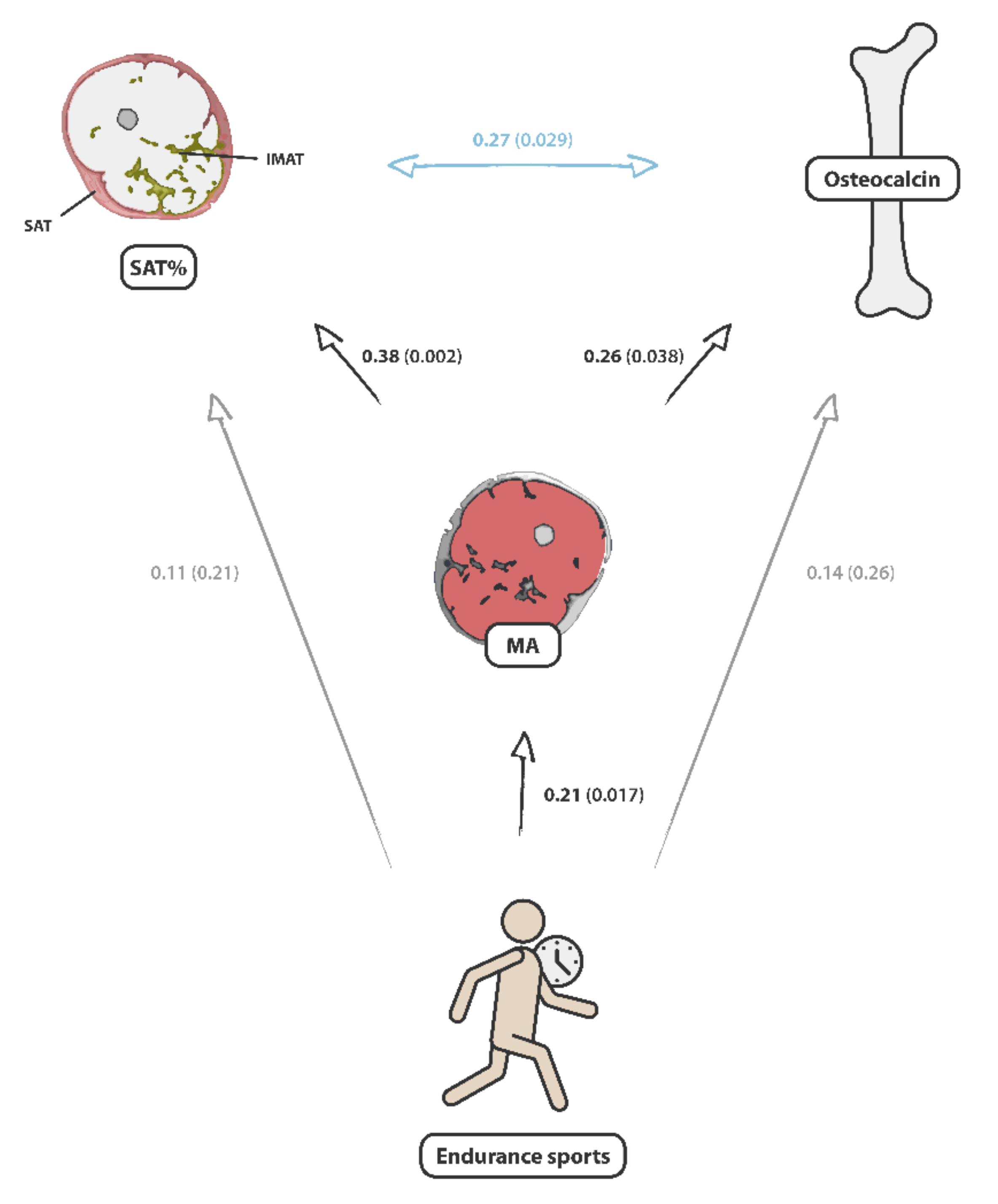 Nutrients 14 00112 g004 Nutrients 14 00112 g004
